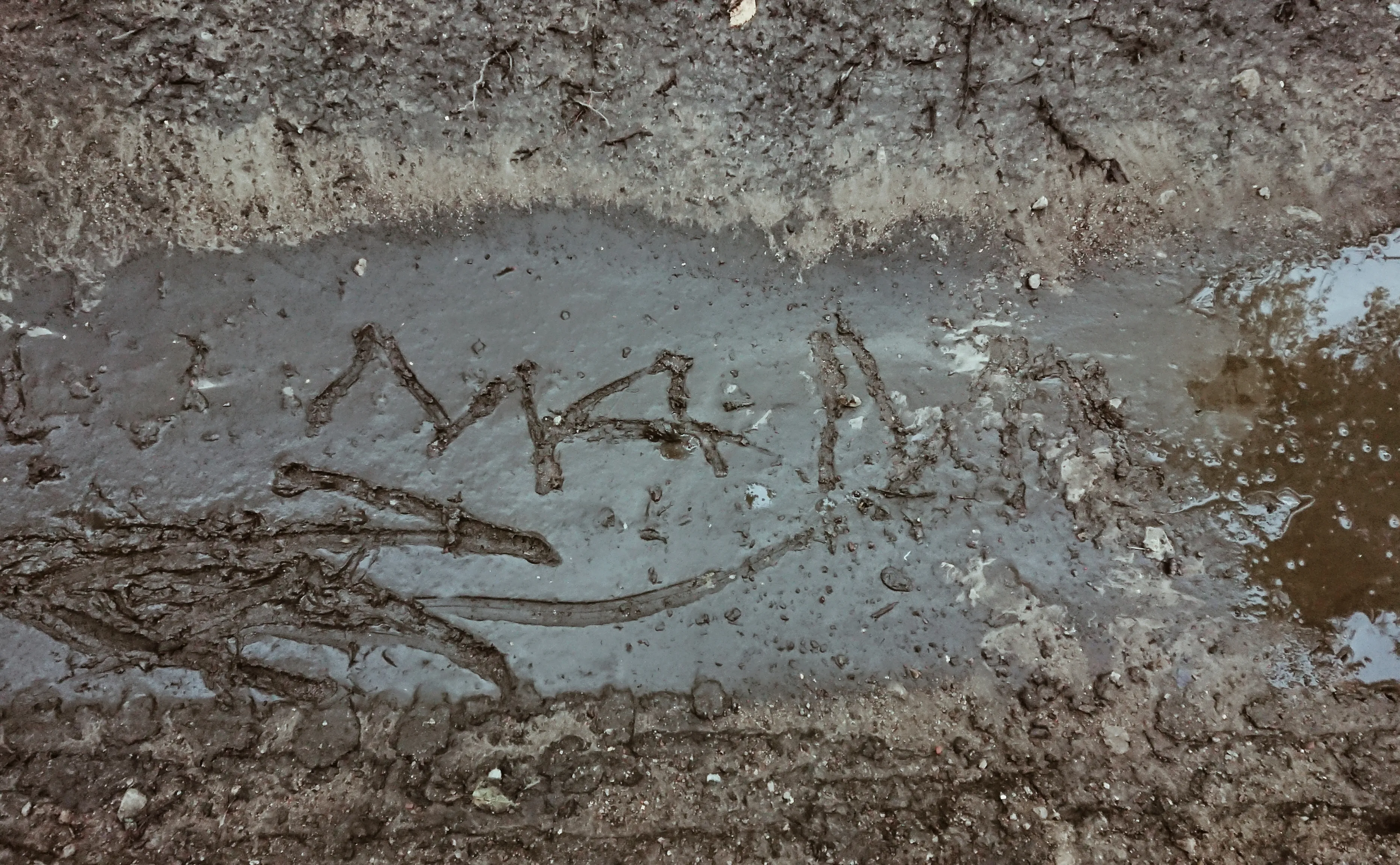 Грязь была такая красивая