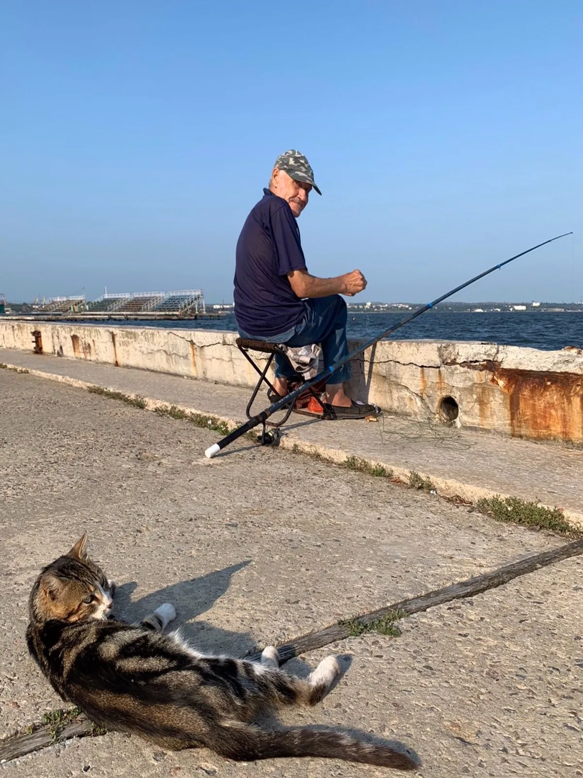Полосатая группа поддержки