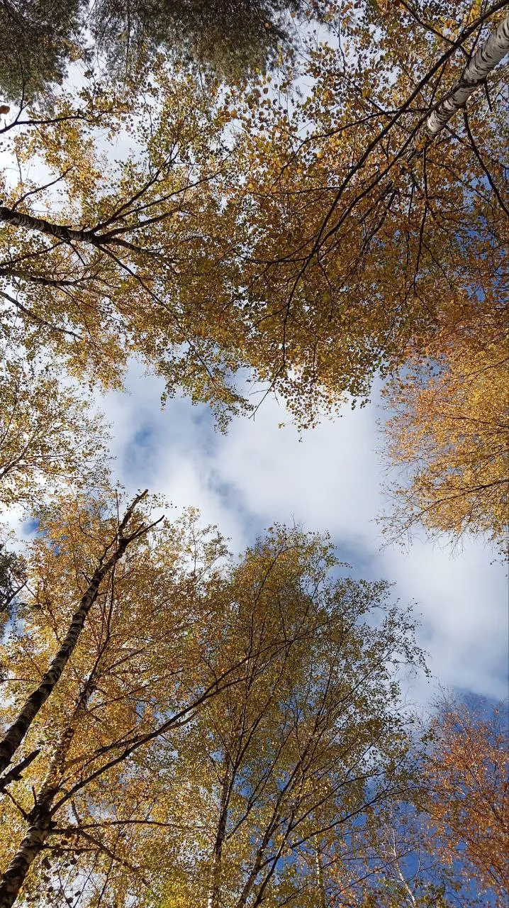 Глубина неба