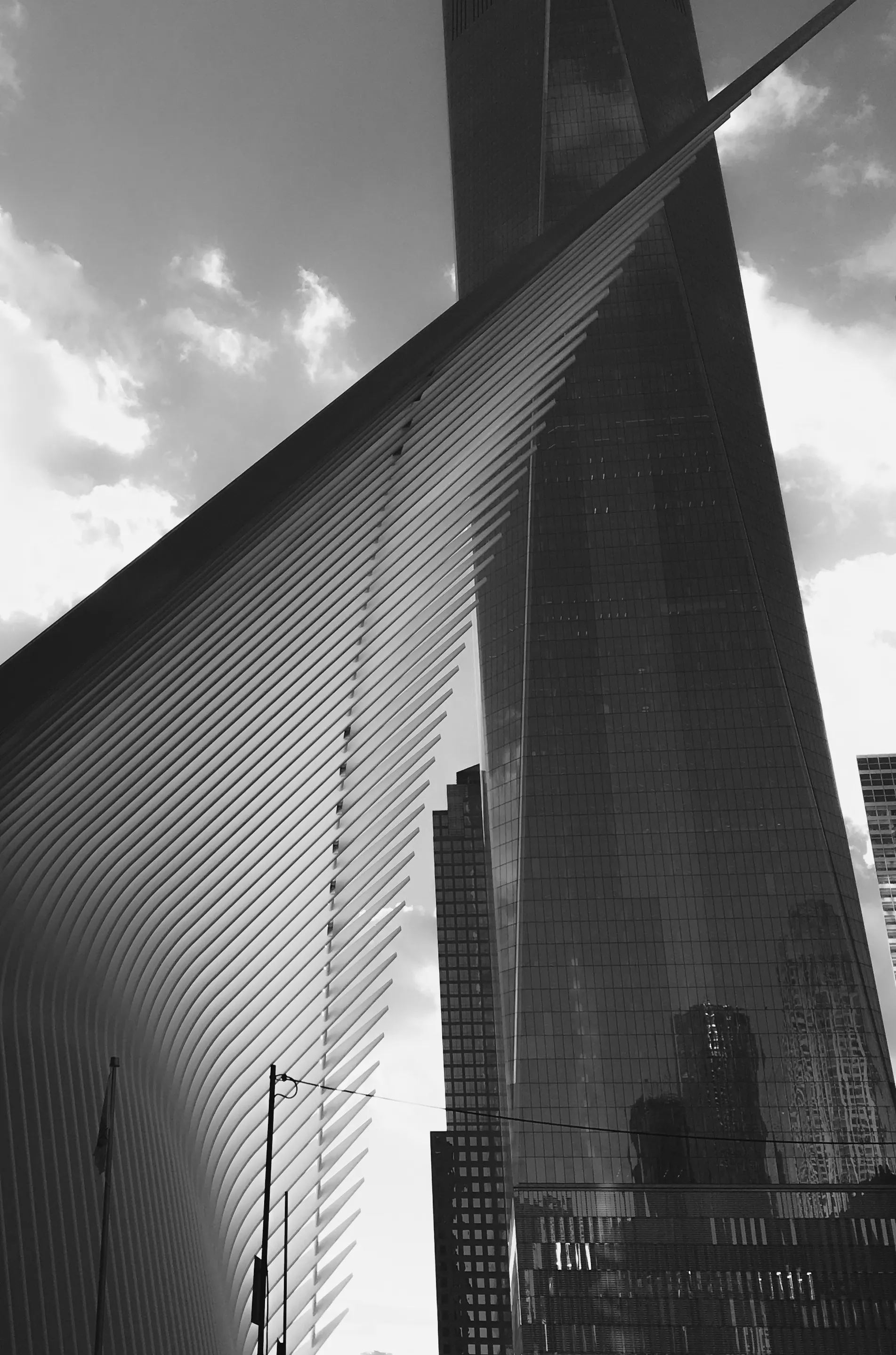 Безмолвный диалог