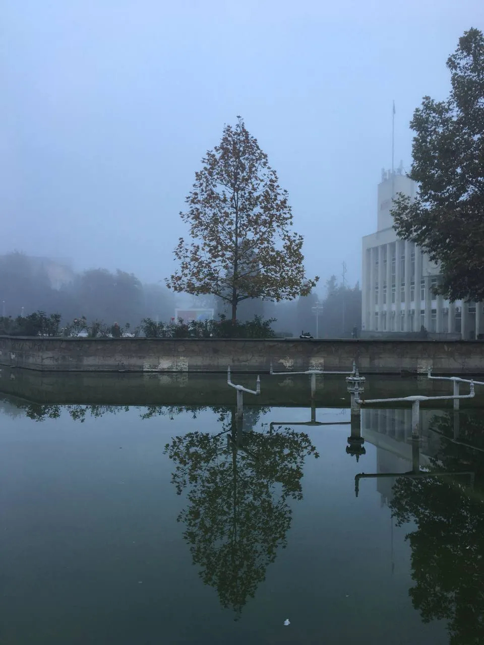 «отражение»