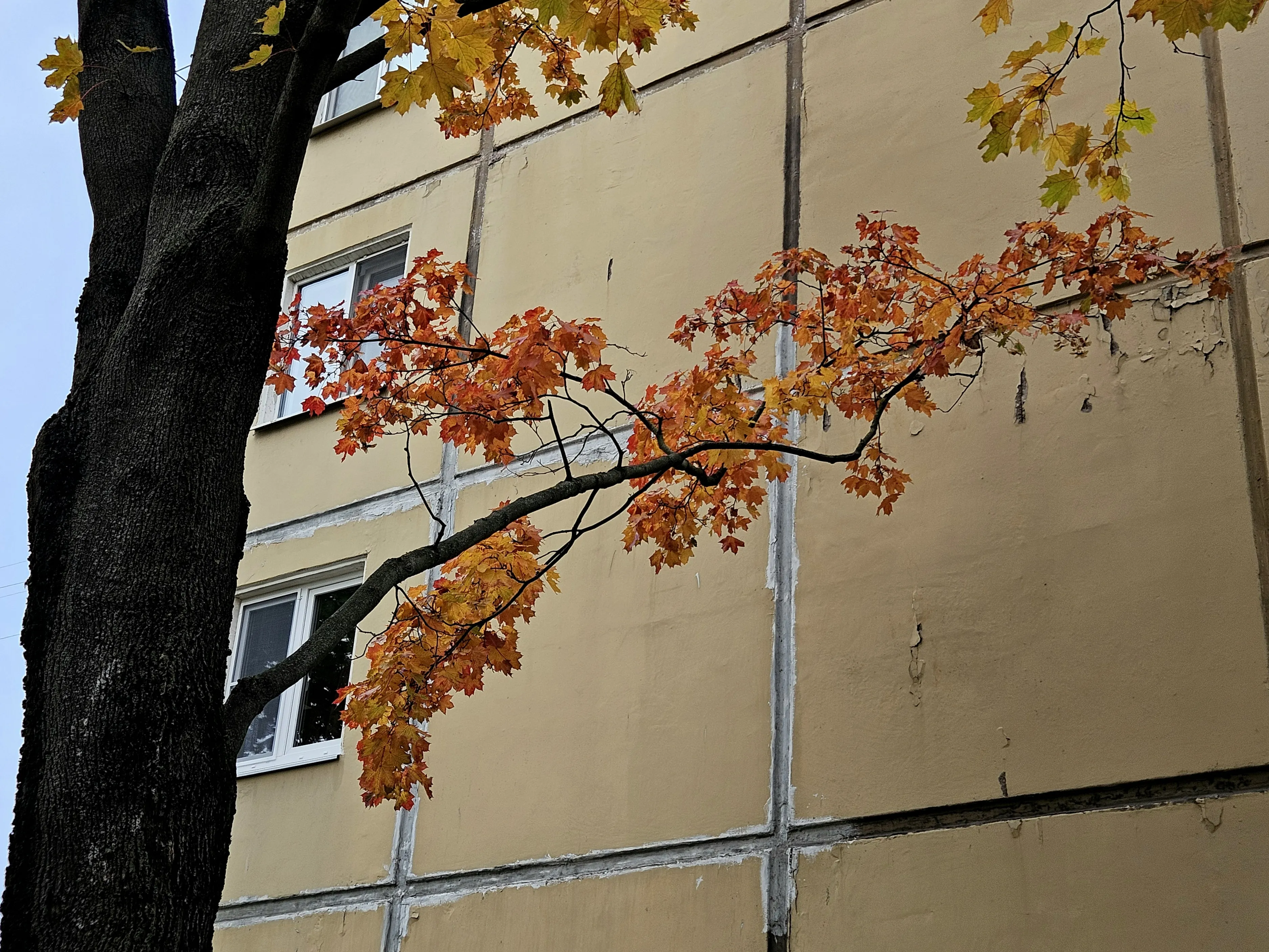 Переплетения