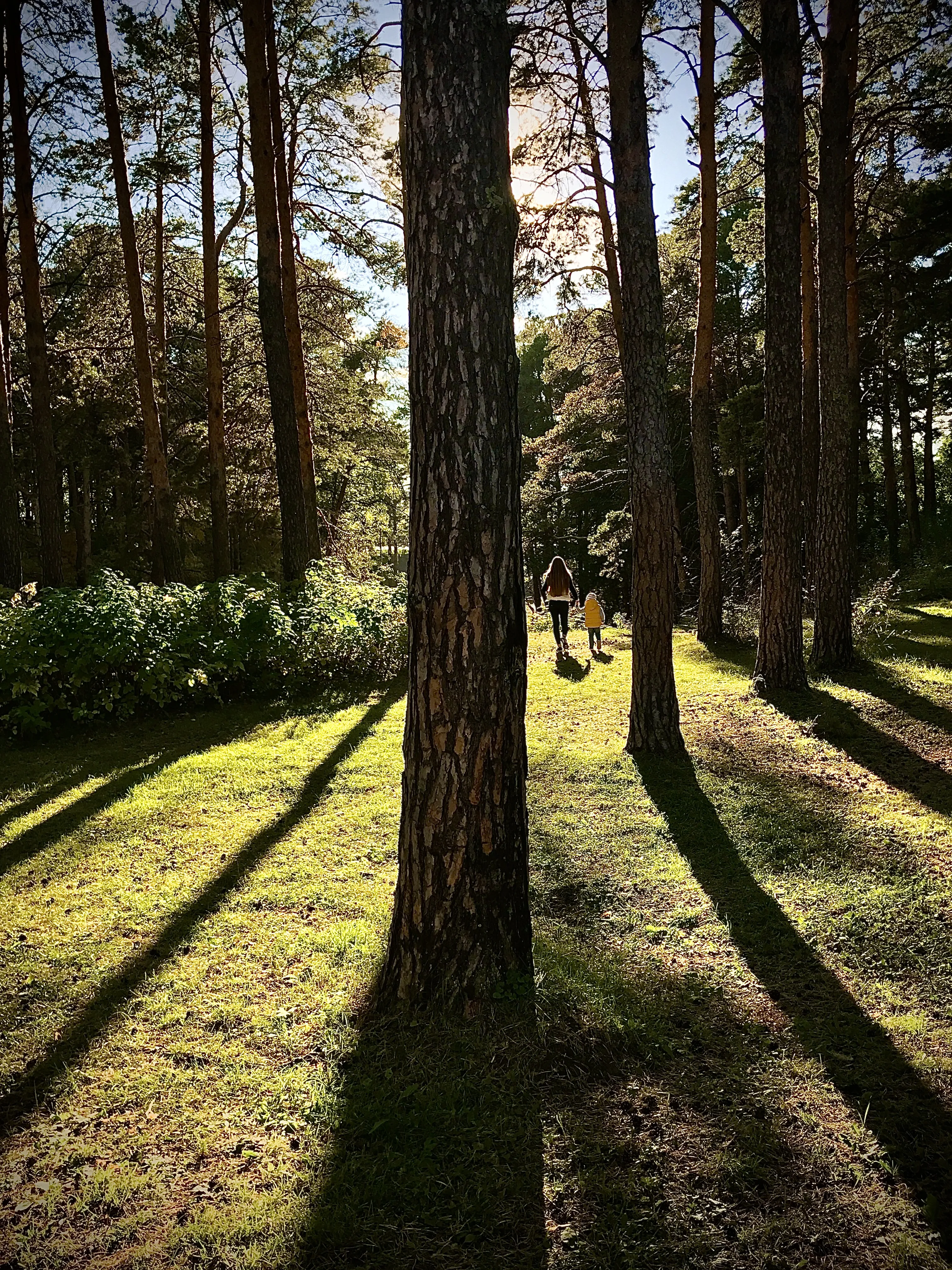 Счастье здесь и сейчас.