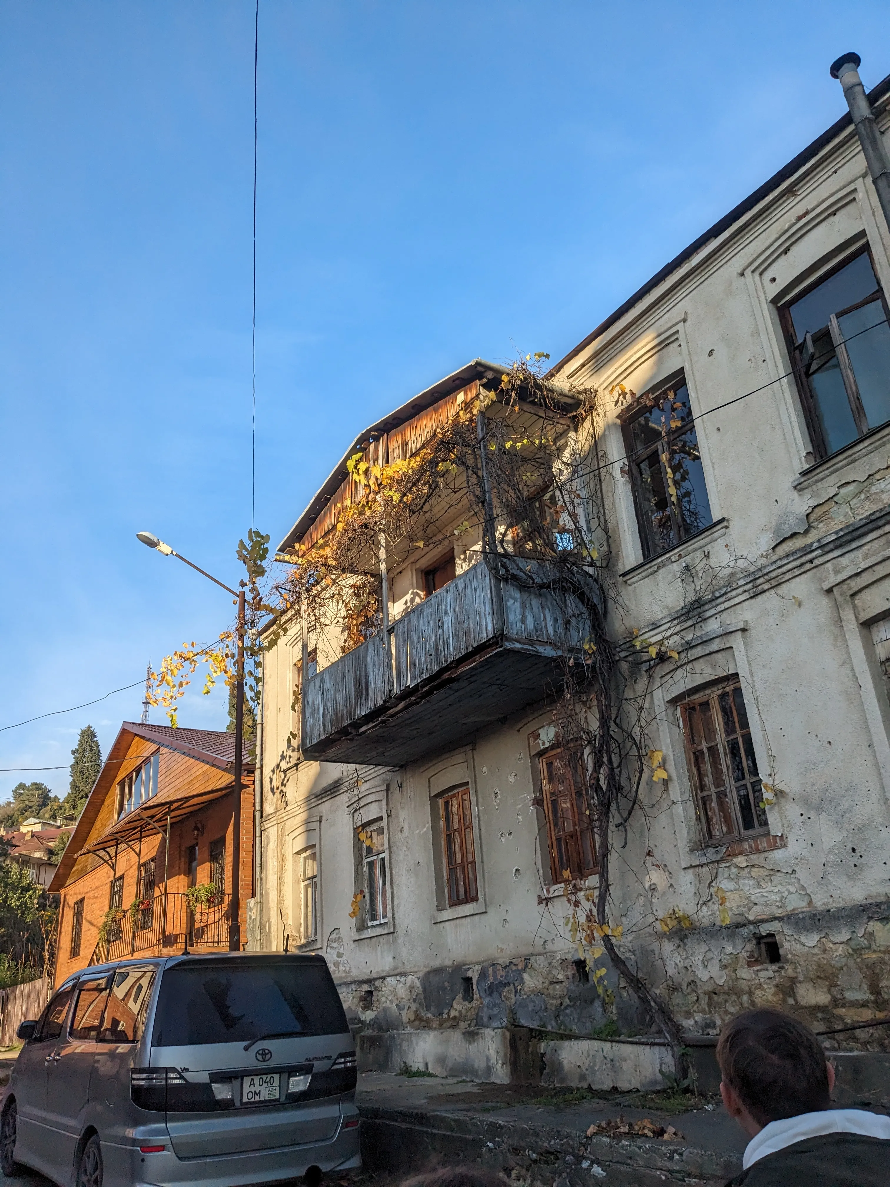 Живое в архитектуре