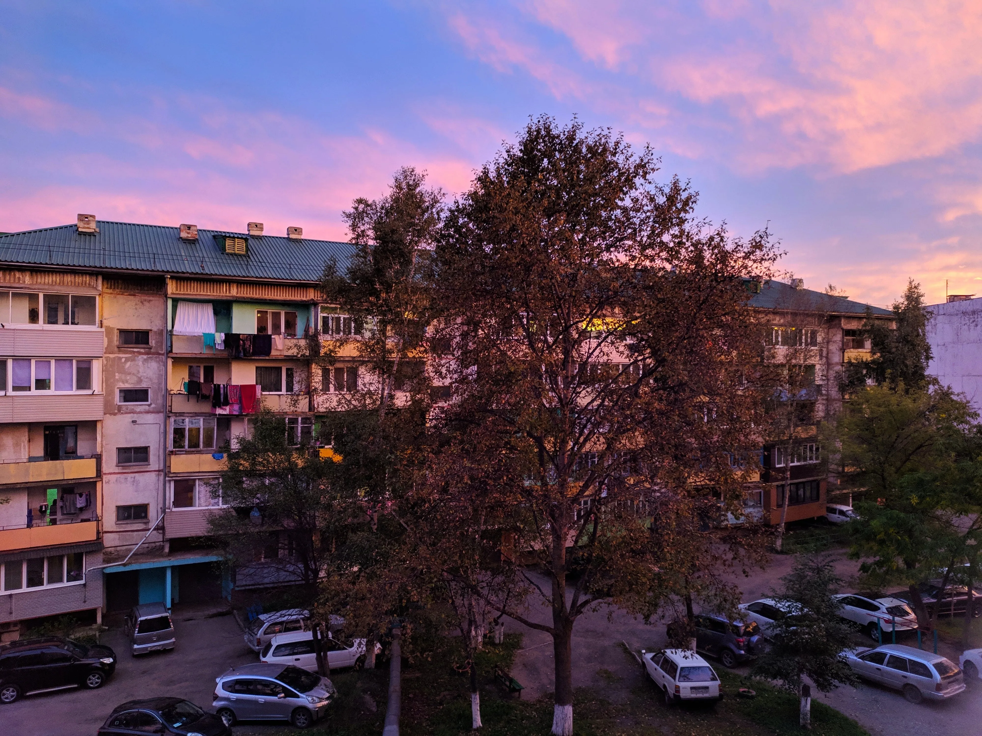 Розовый вечер