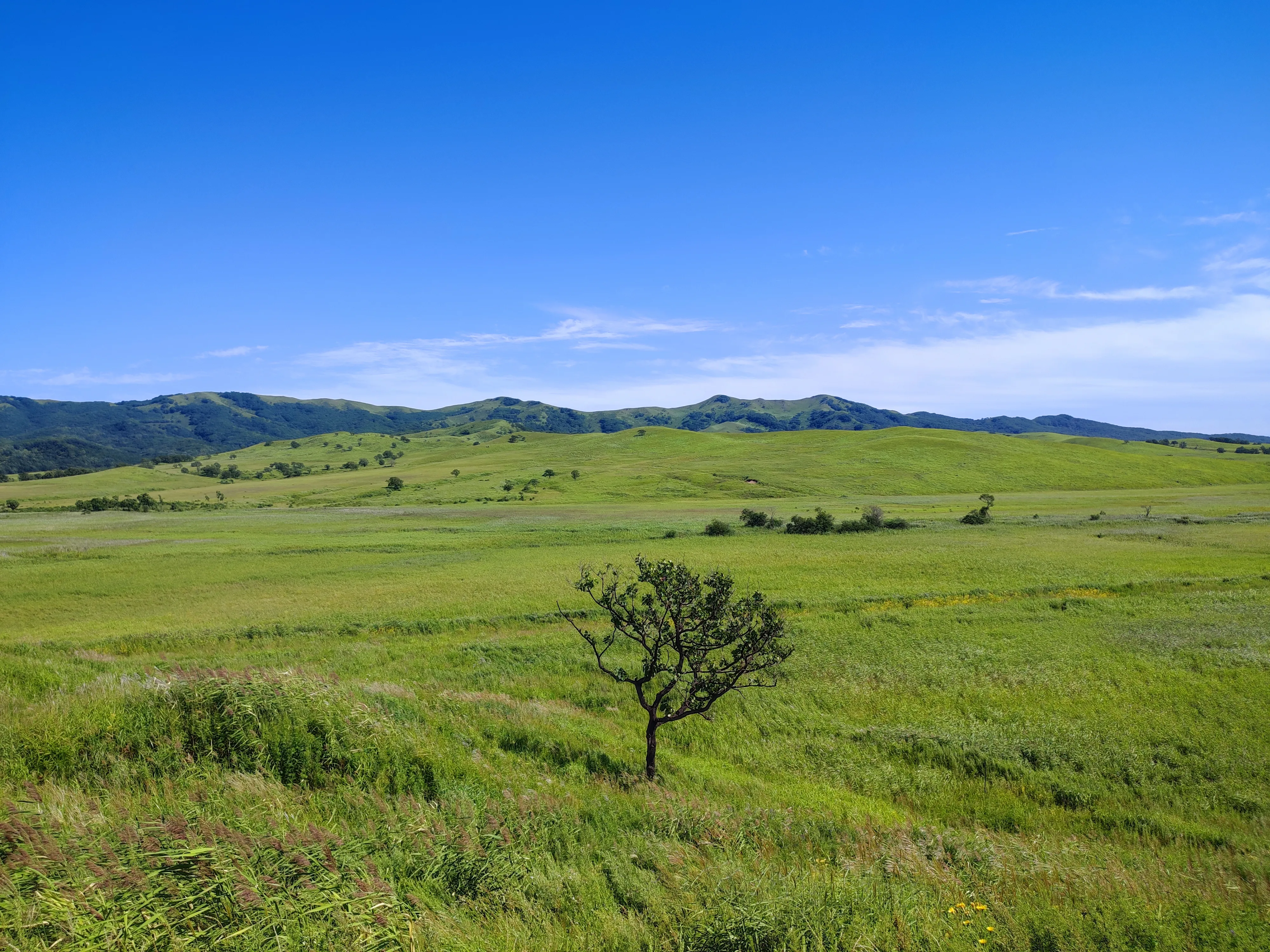 Одиночество