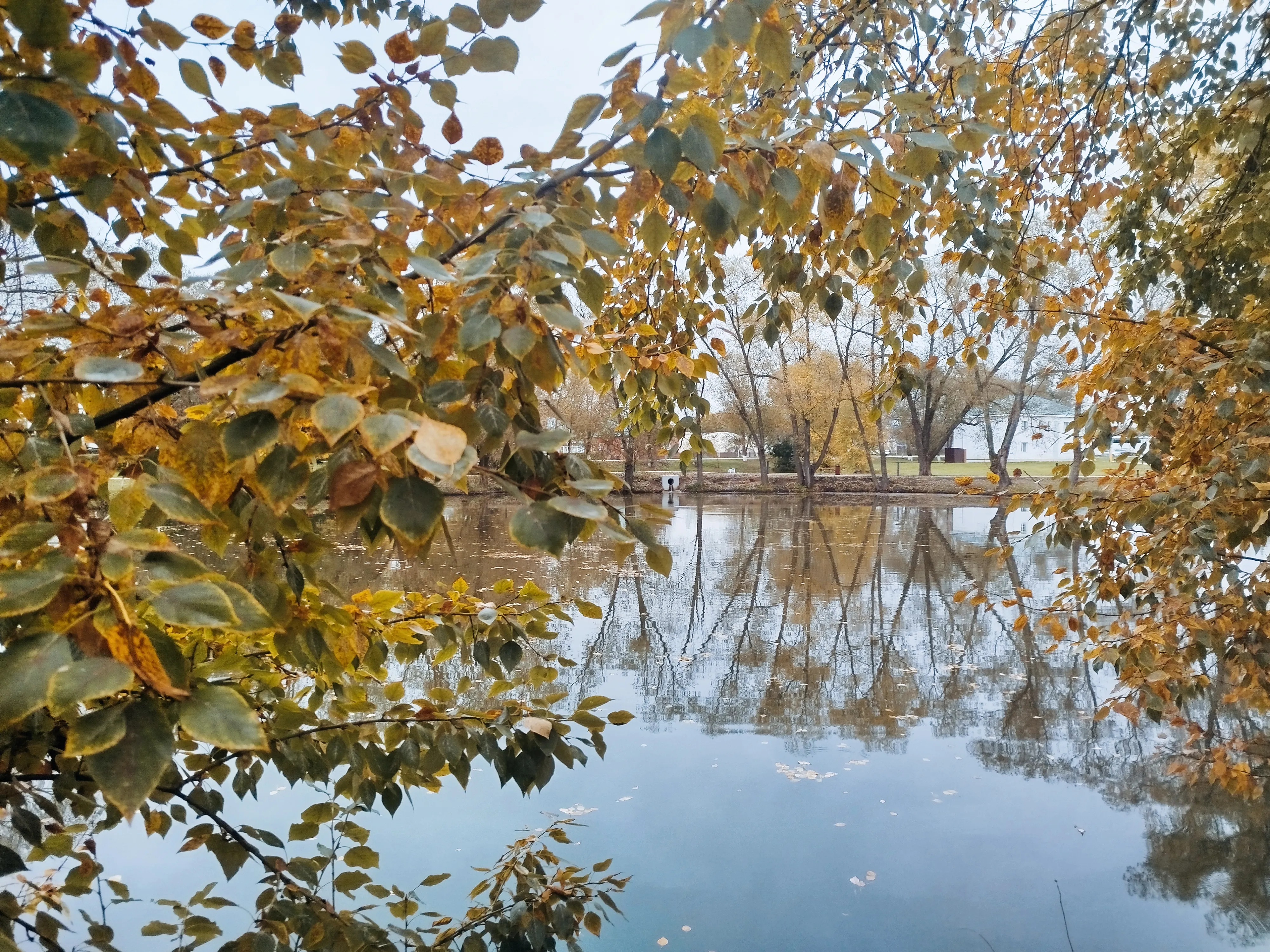 "Взгляд в настоящее - фотографии, остановившие время"