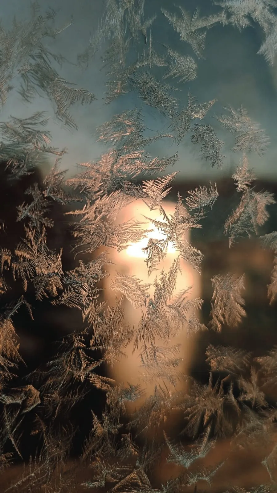 Свет зимнего утра