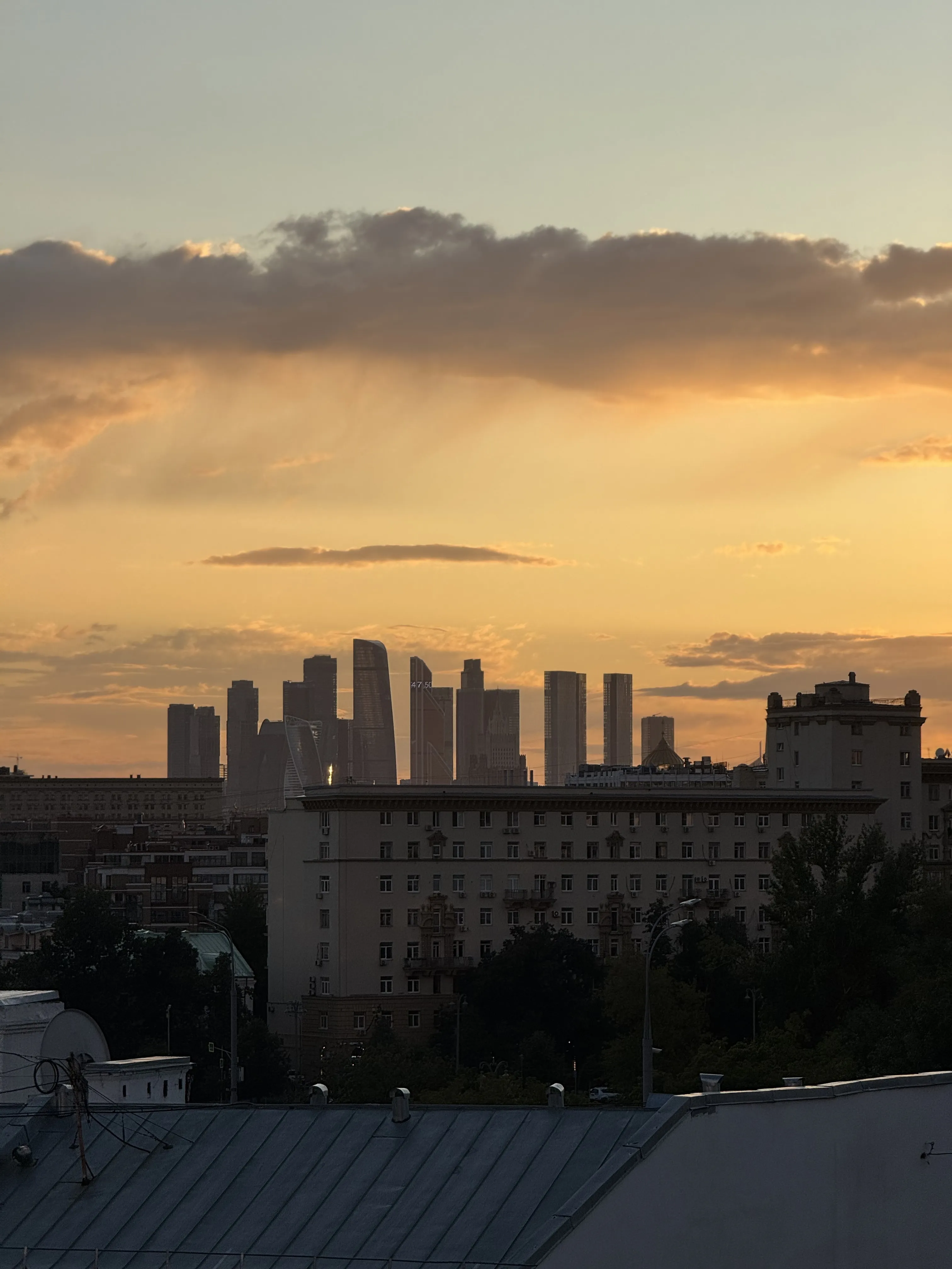 Городские Джунгли