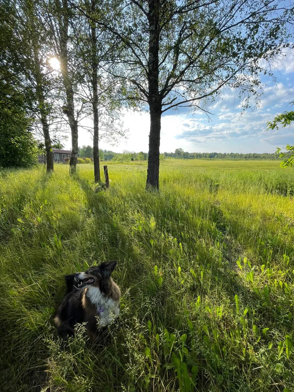 Просто живи