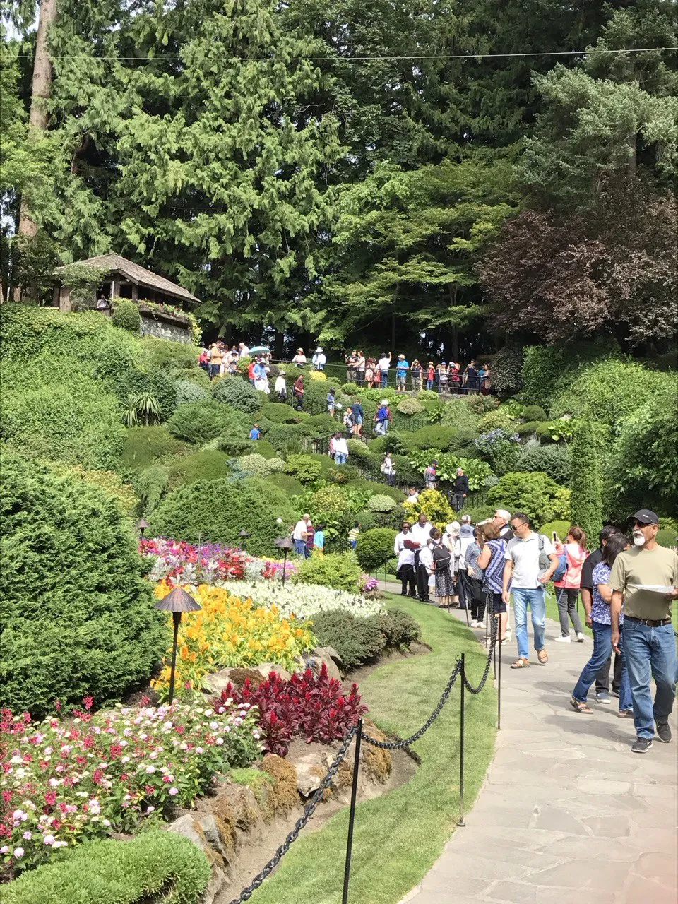 Hiking in Queen Elizabeth Park