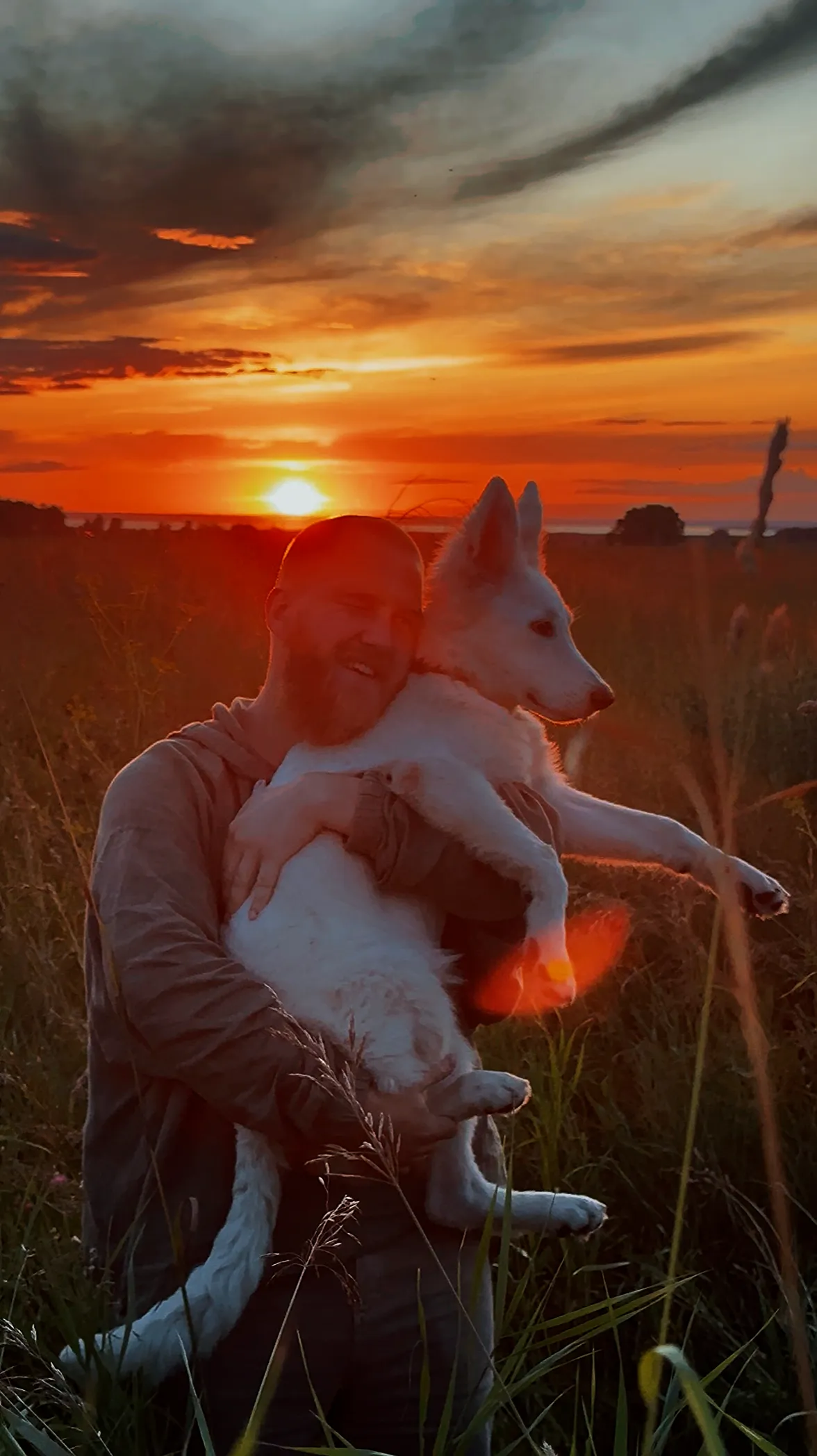 По-вечернему по солнцу