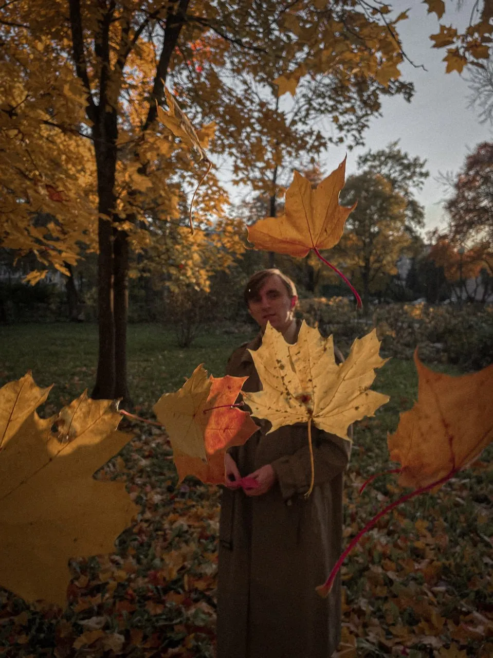 Полет октября