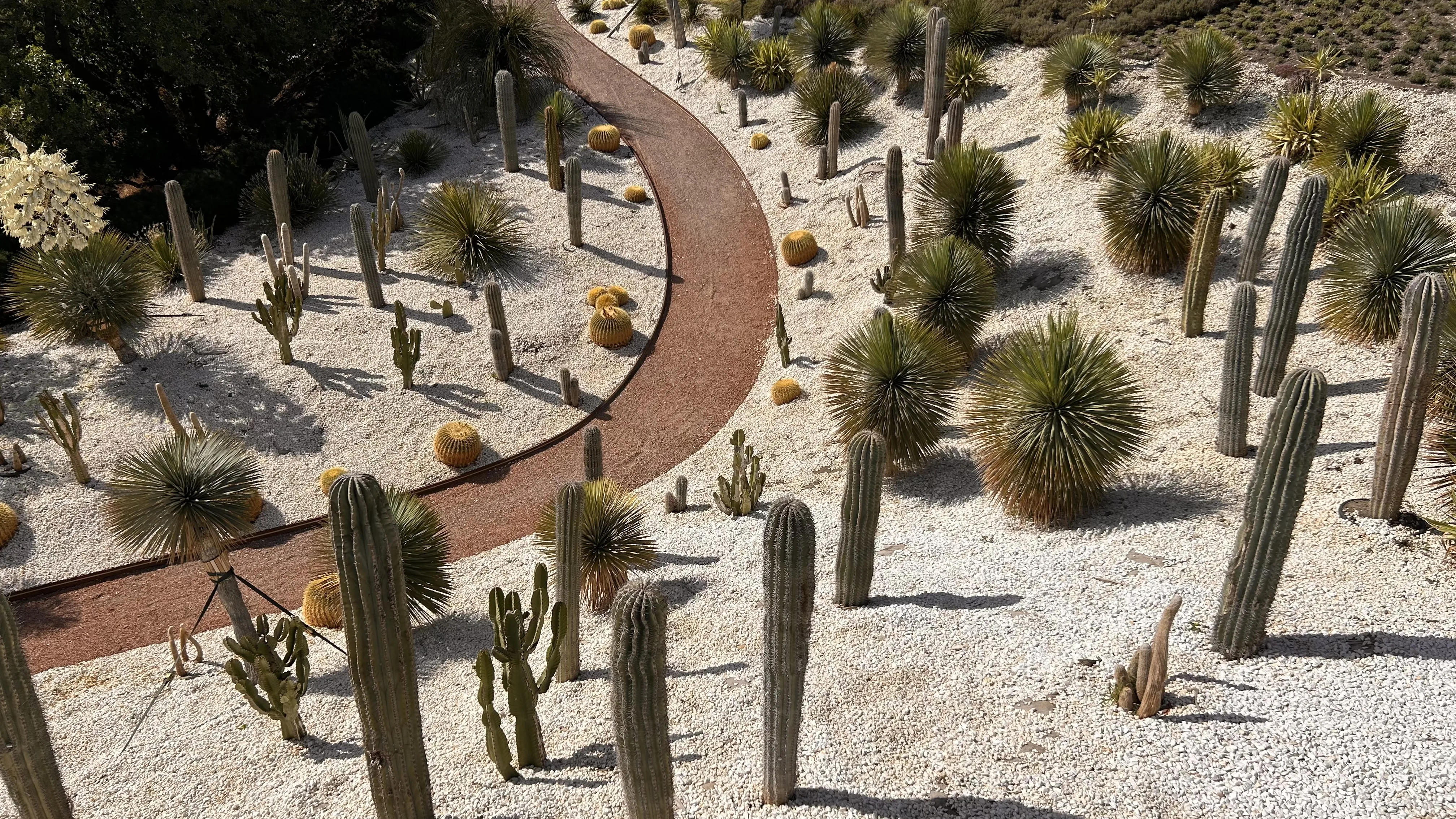 знойное сейчас