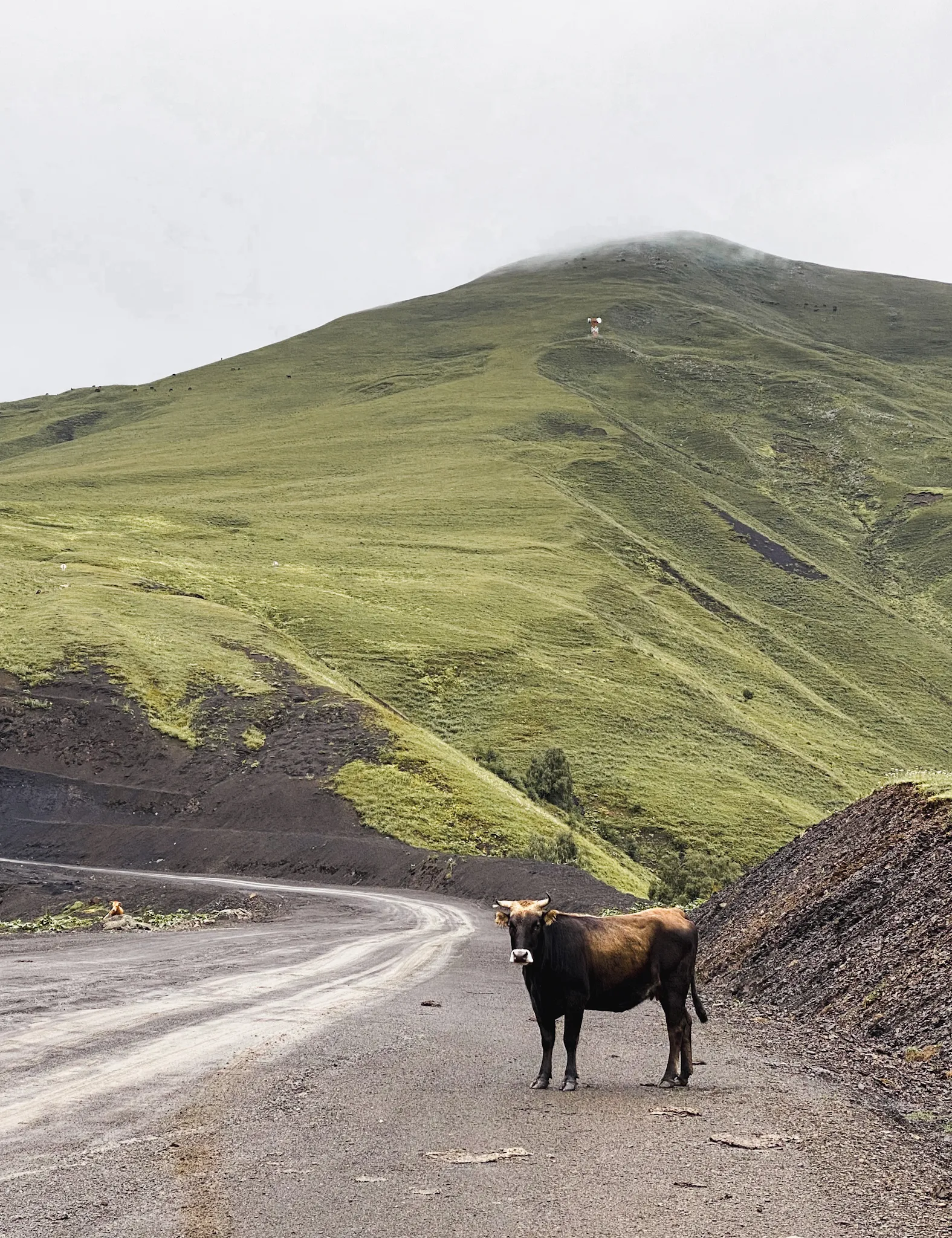 Здесь и сейчас