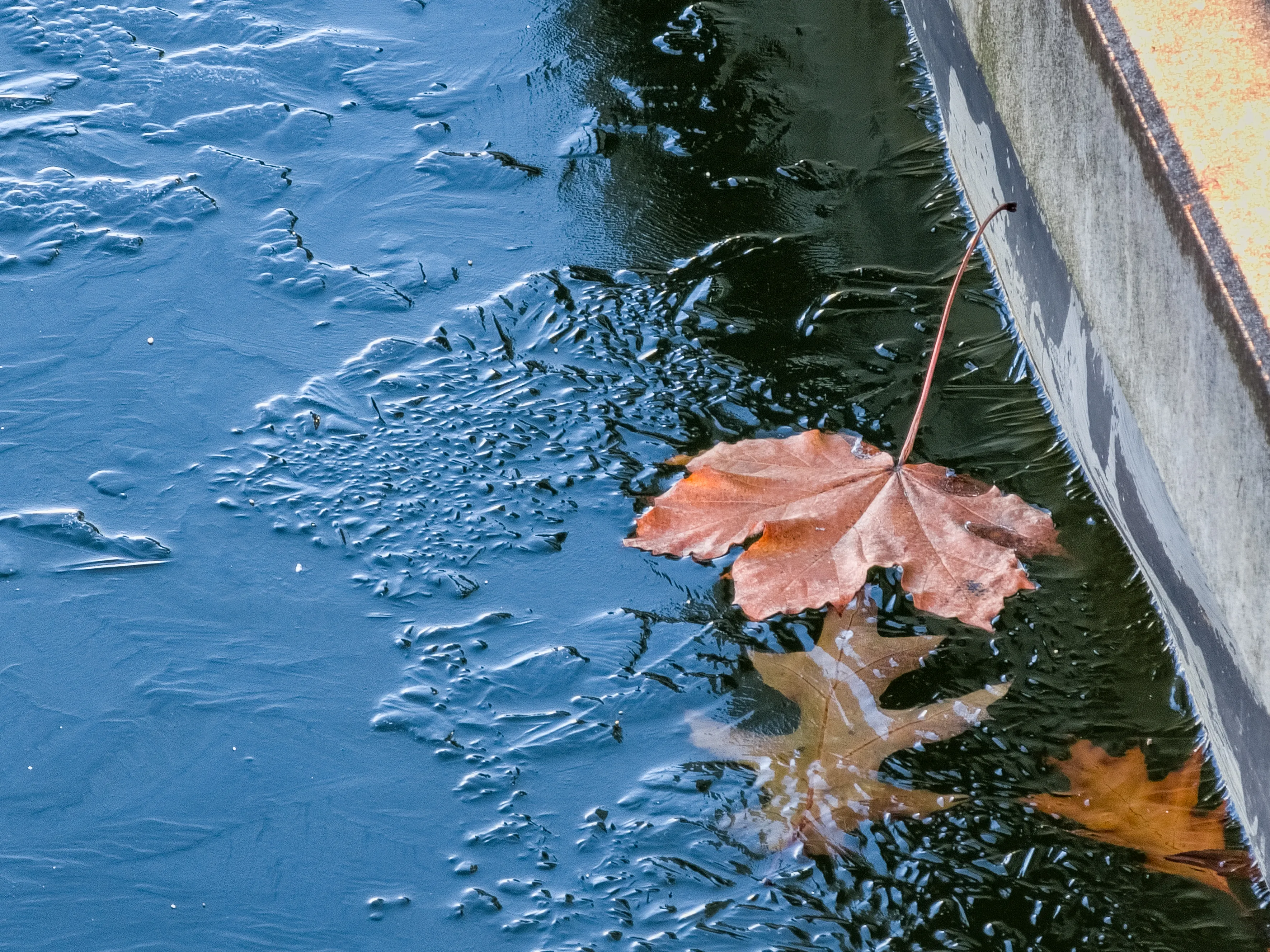 Последний лист