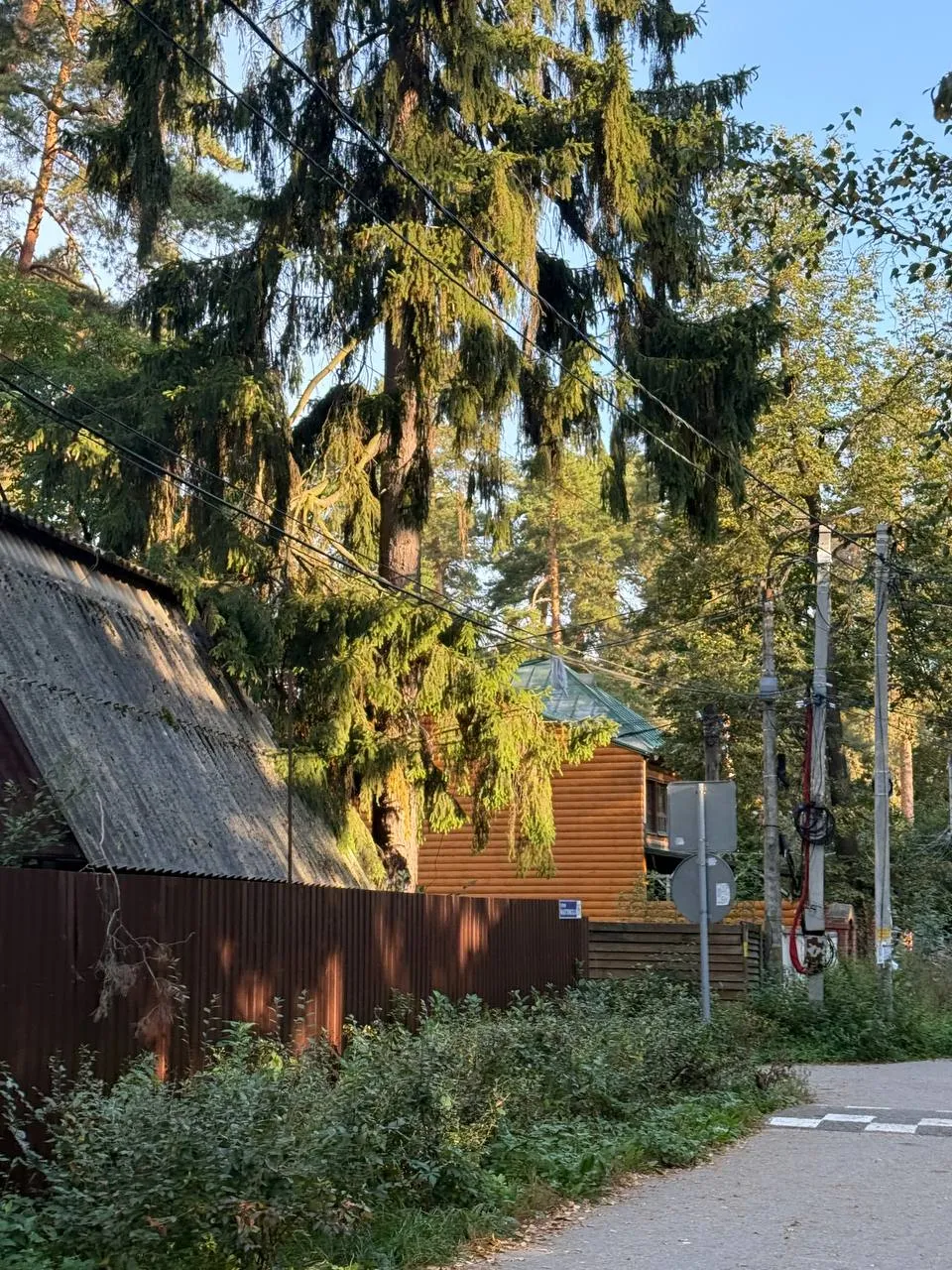 Уголок природы