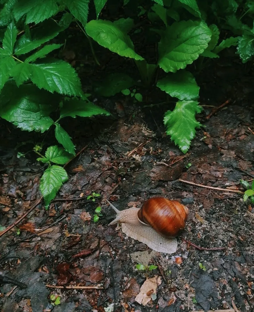 Маленький мир