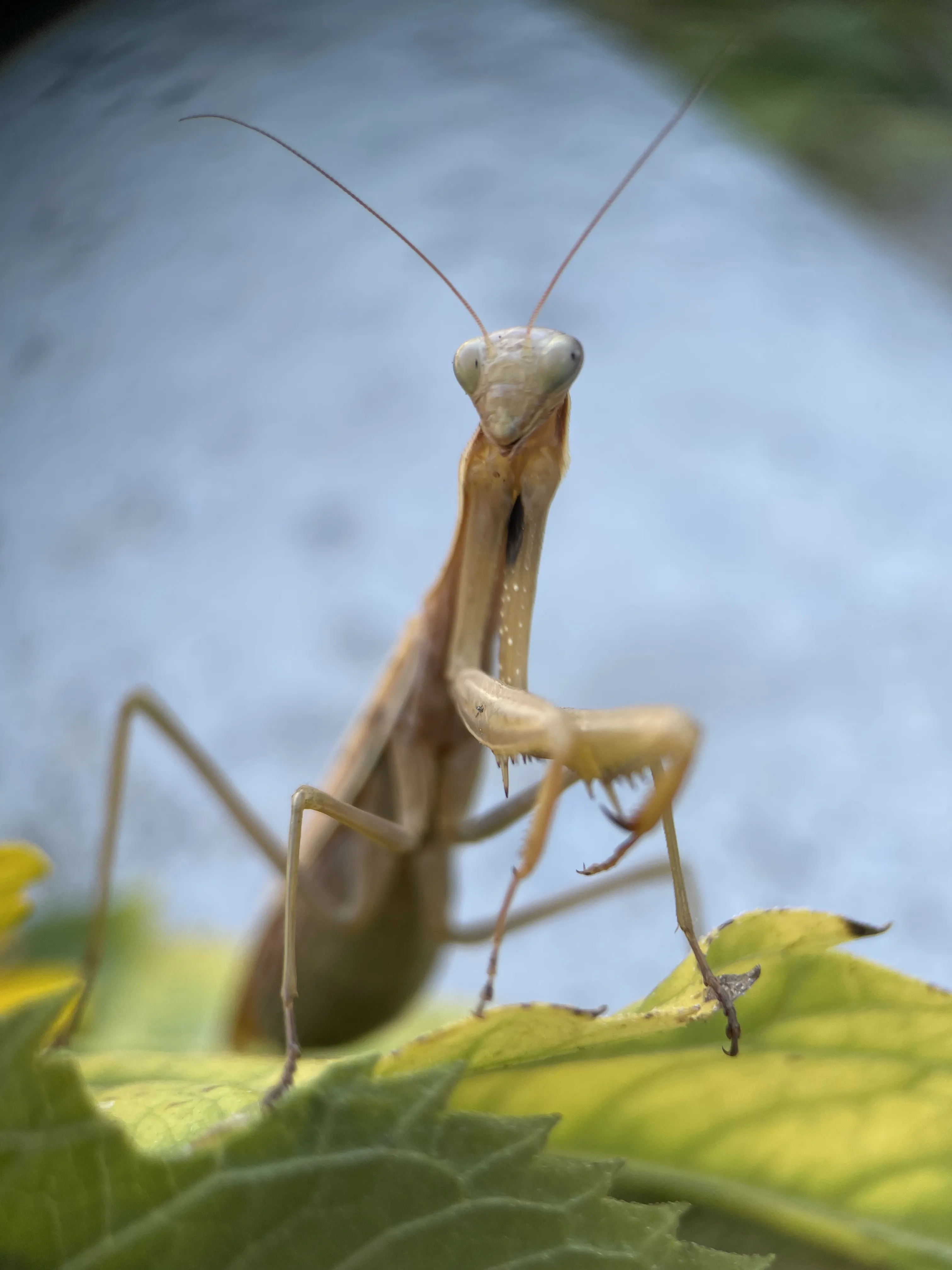 Мир вокруг который мы не видим