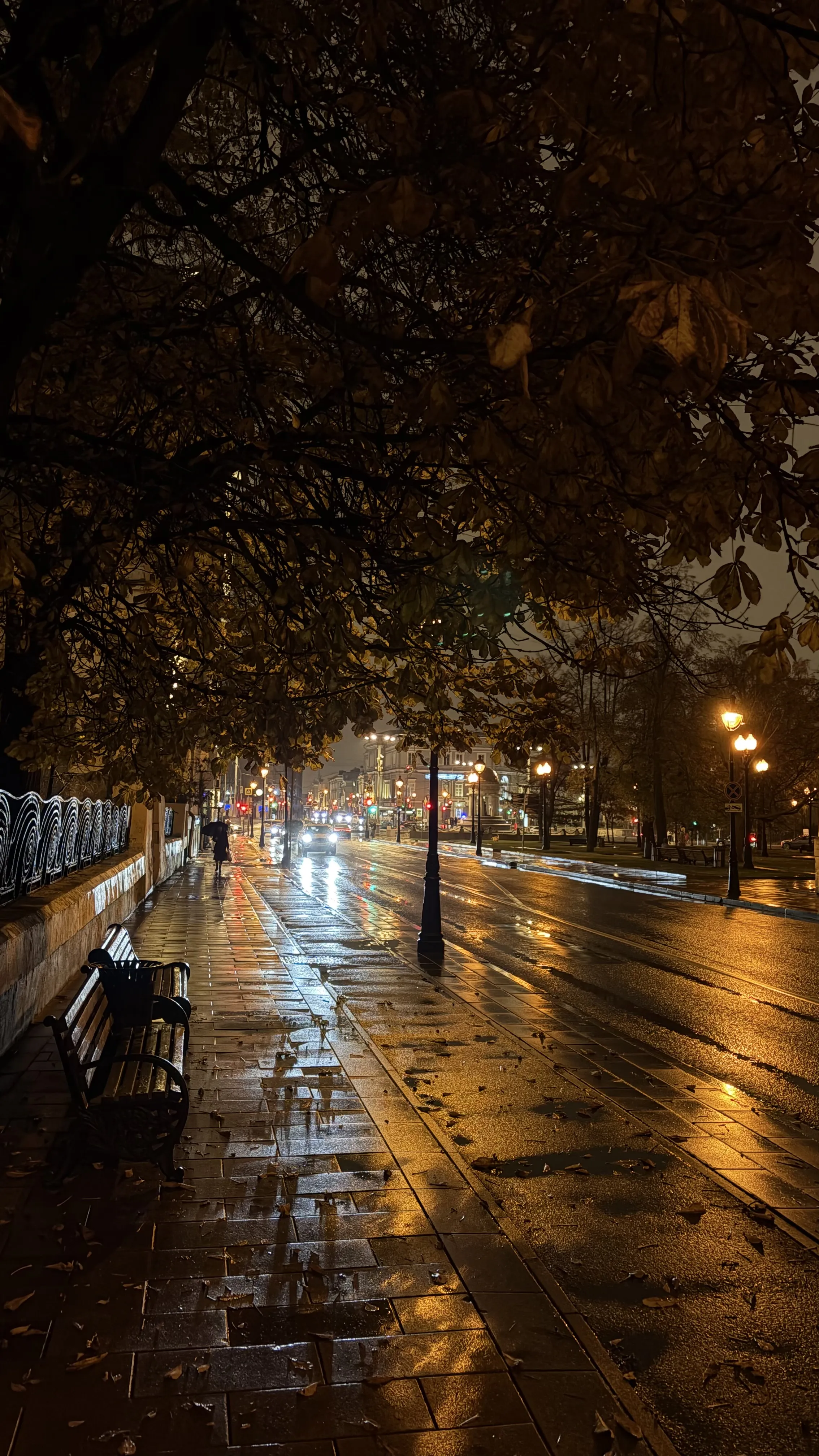 Вечером в центре