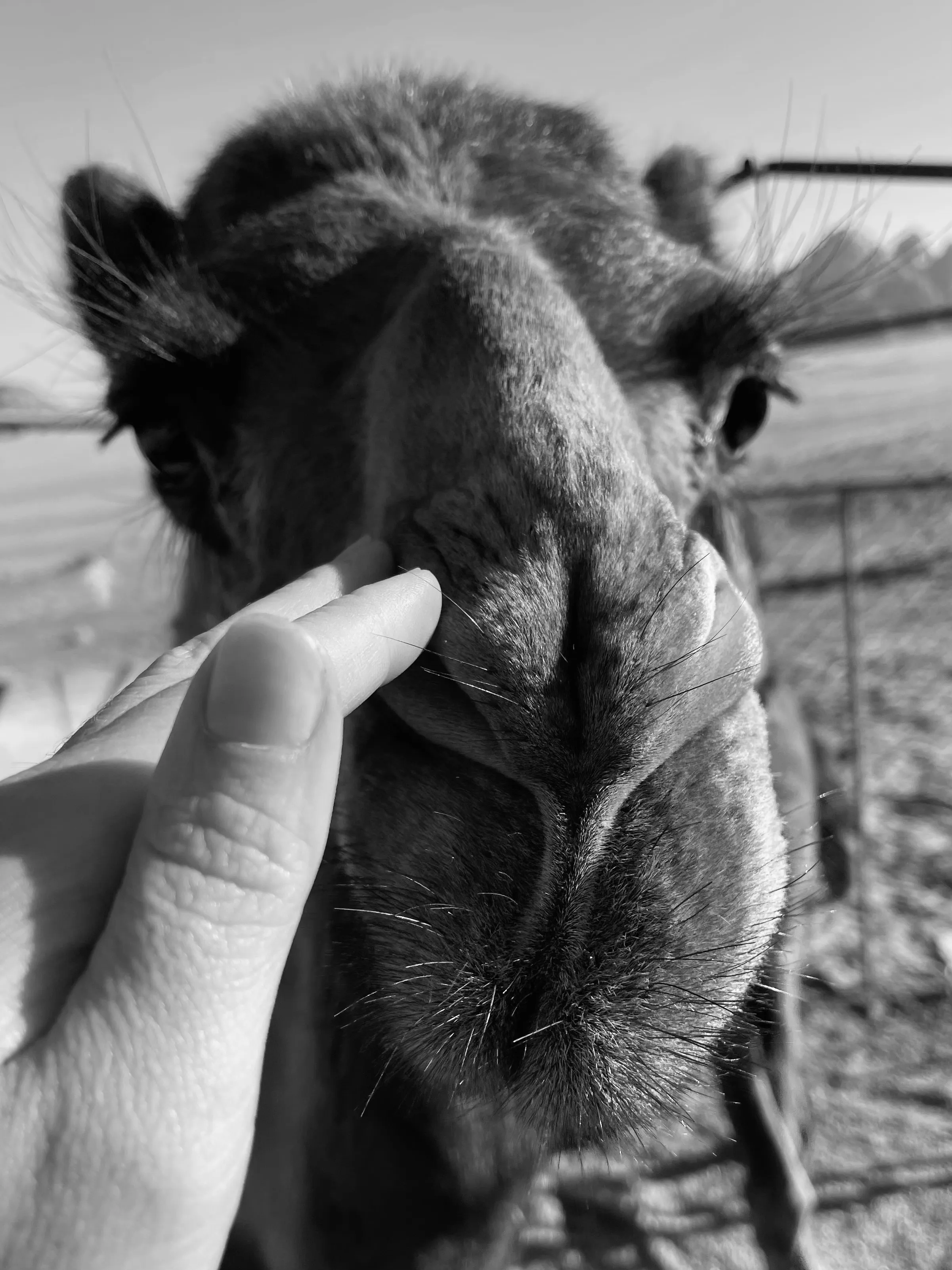 Для дружбы не важно кто есть кто