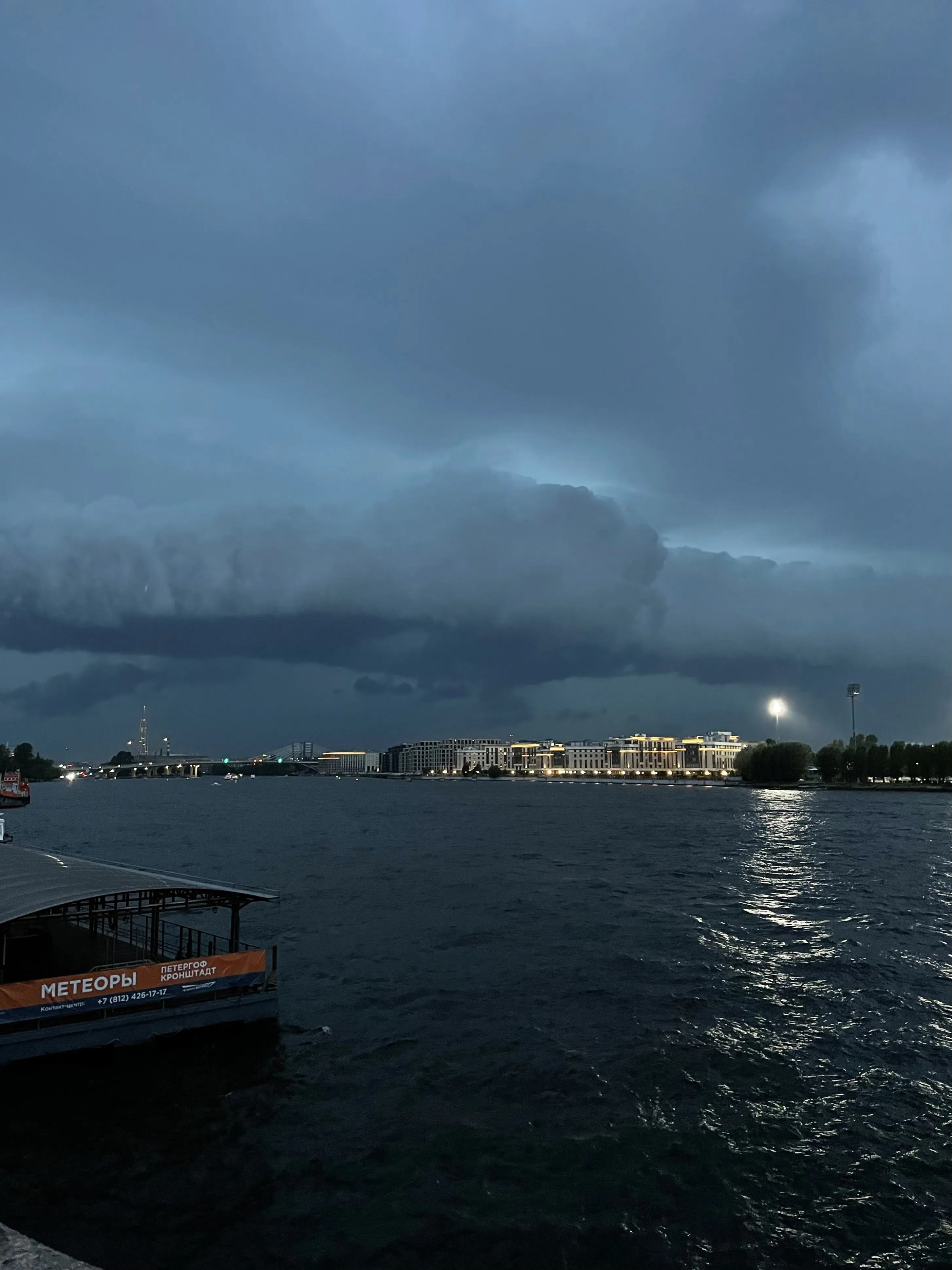 Петербург перед грозой.