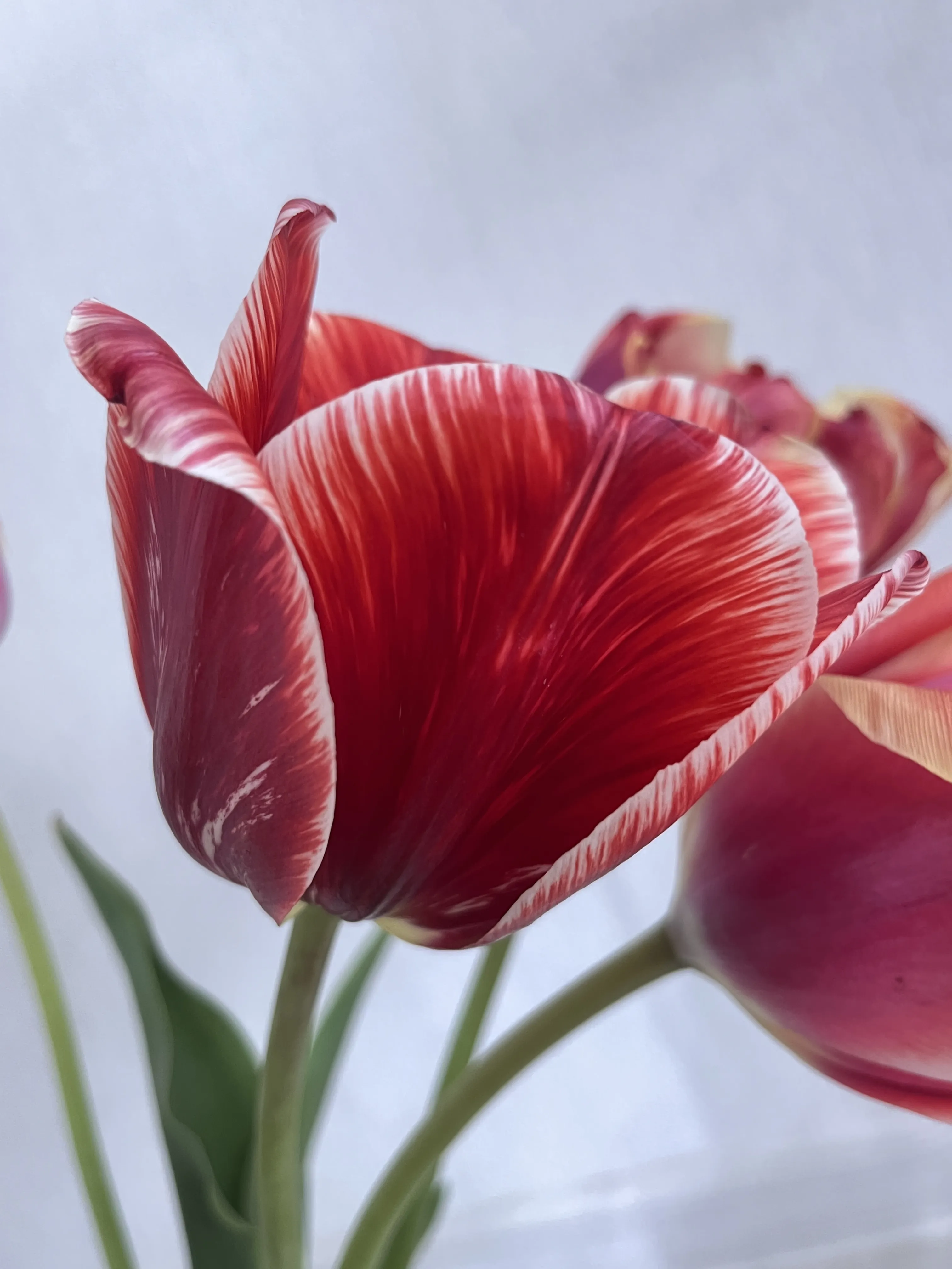 Природные узоры