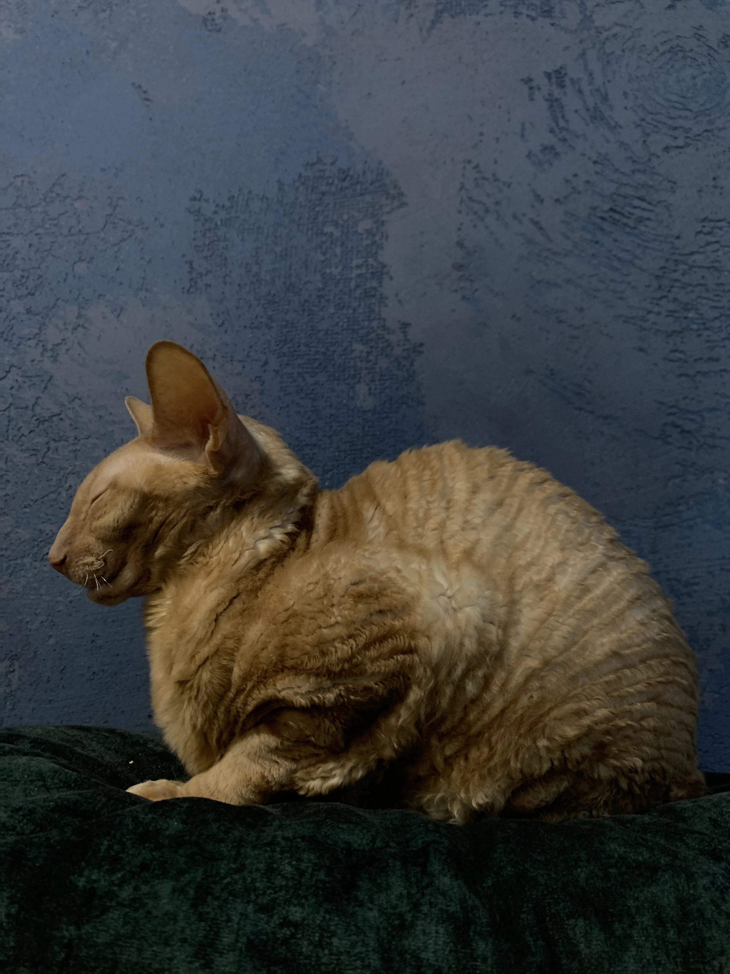 Глаз отдыхает