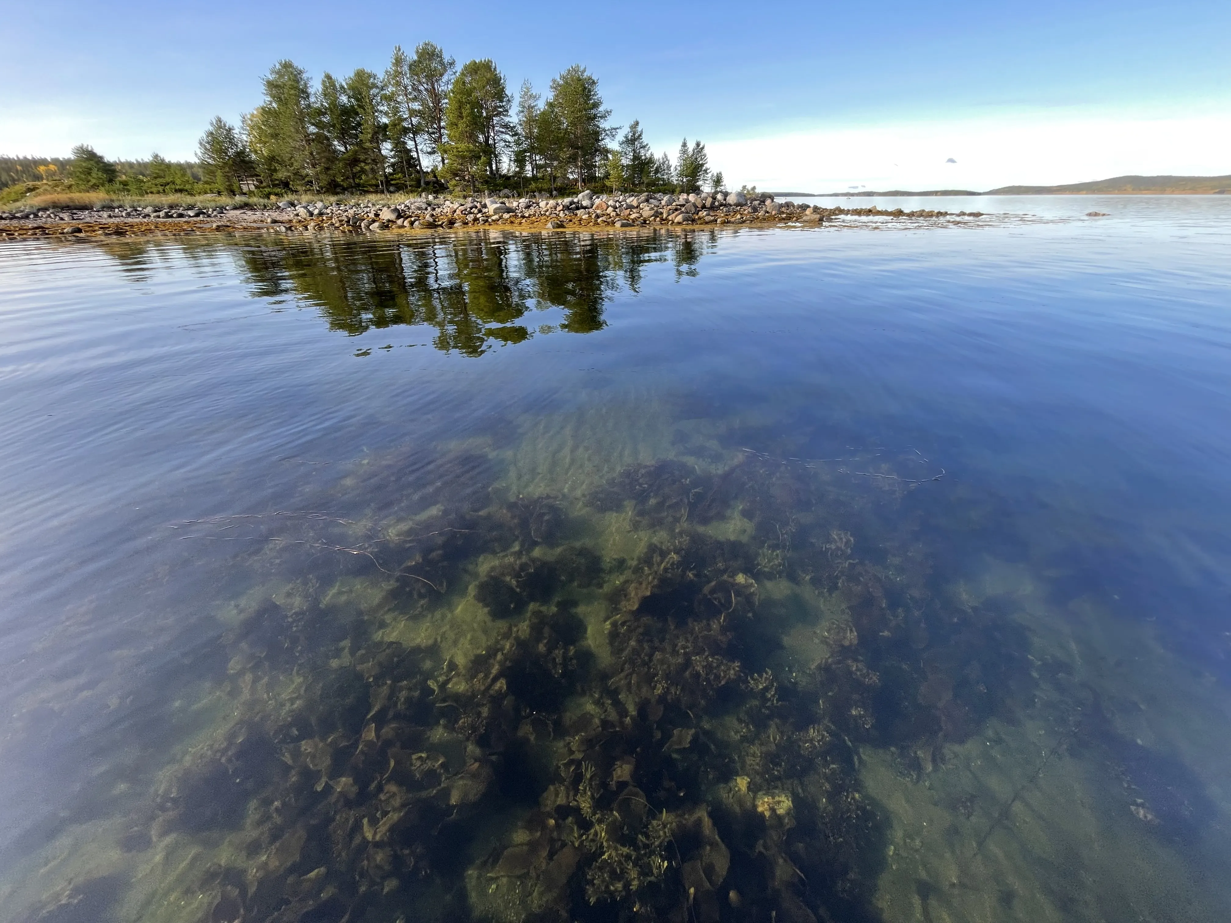 Зазеркалье