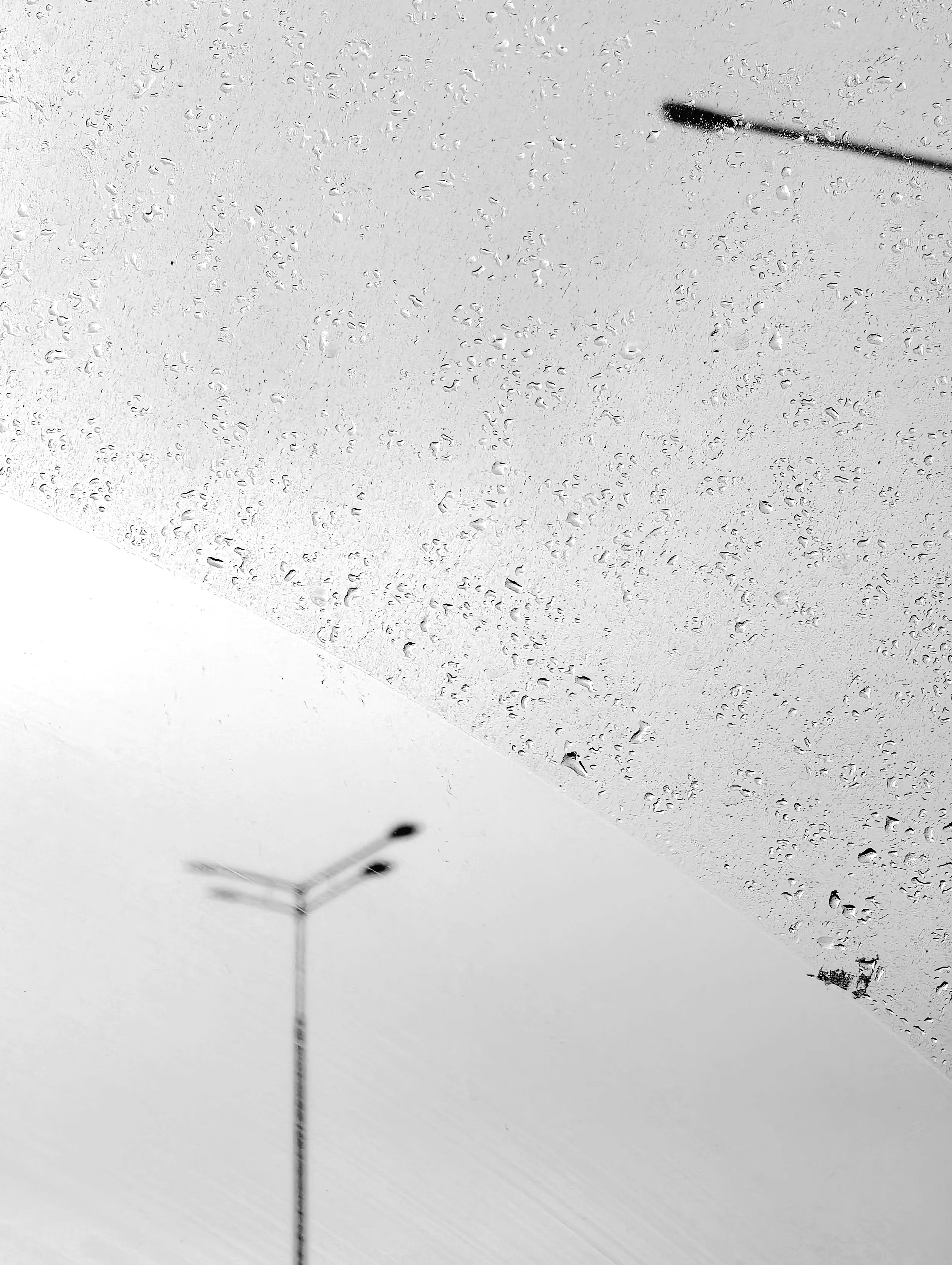 Меланхолия.