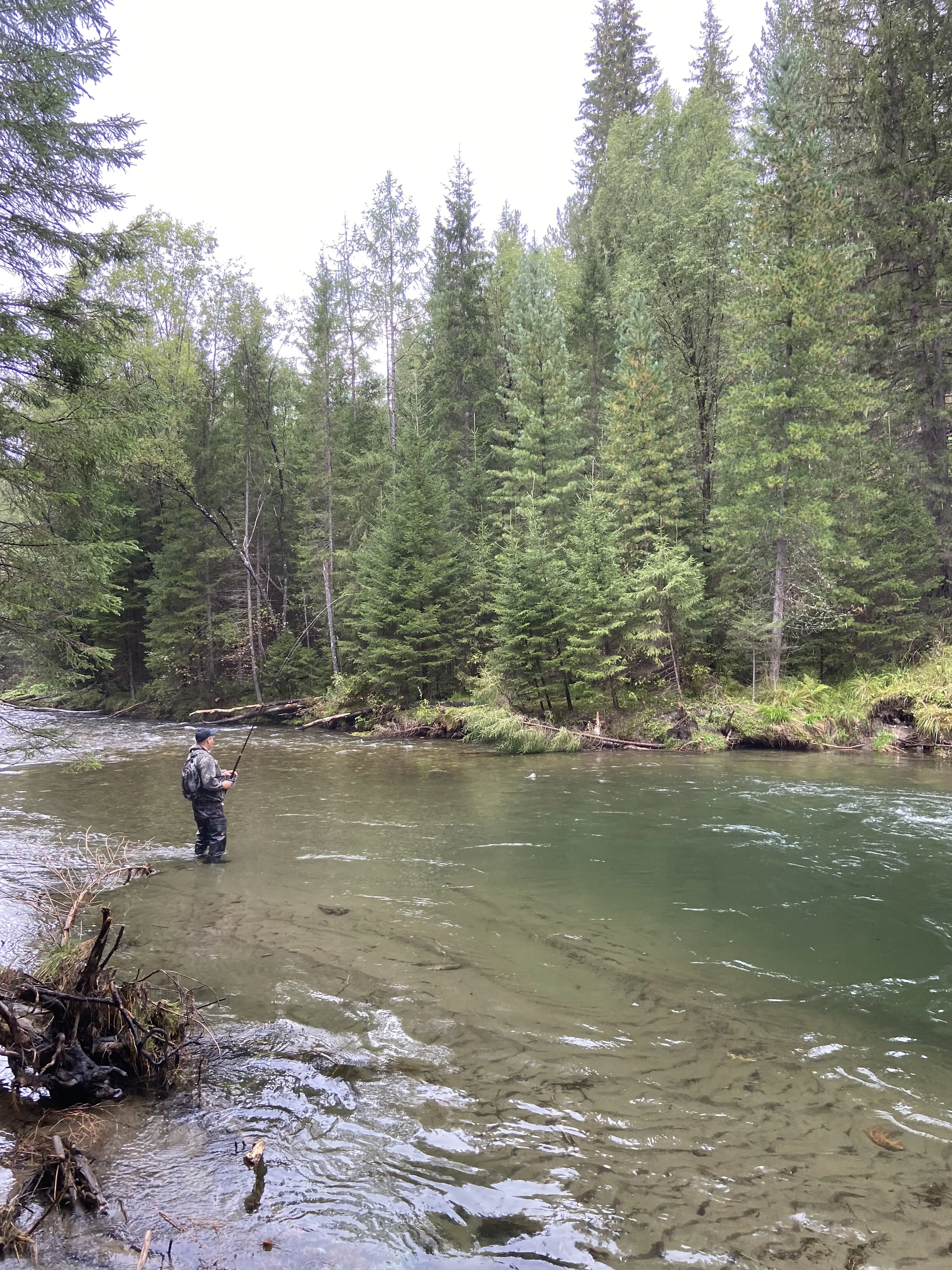 Ловись рыбка!