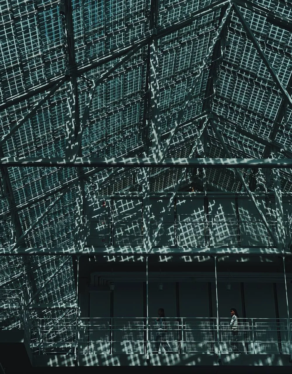 Сеть для света