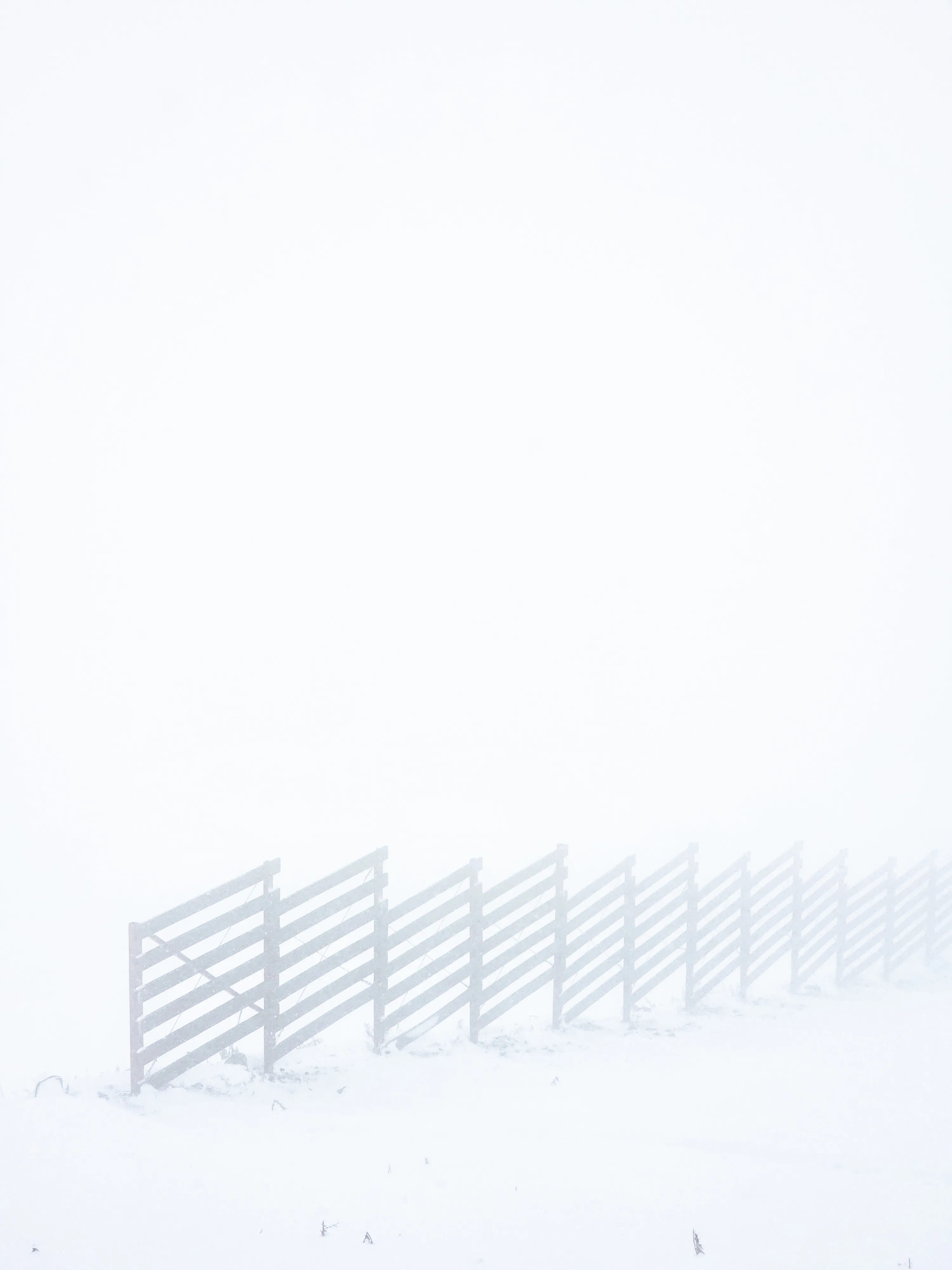 Линия в туман