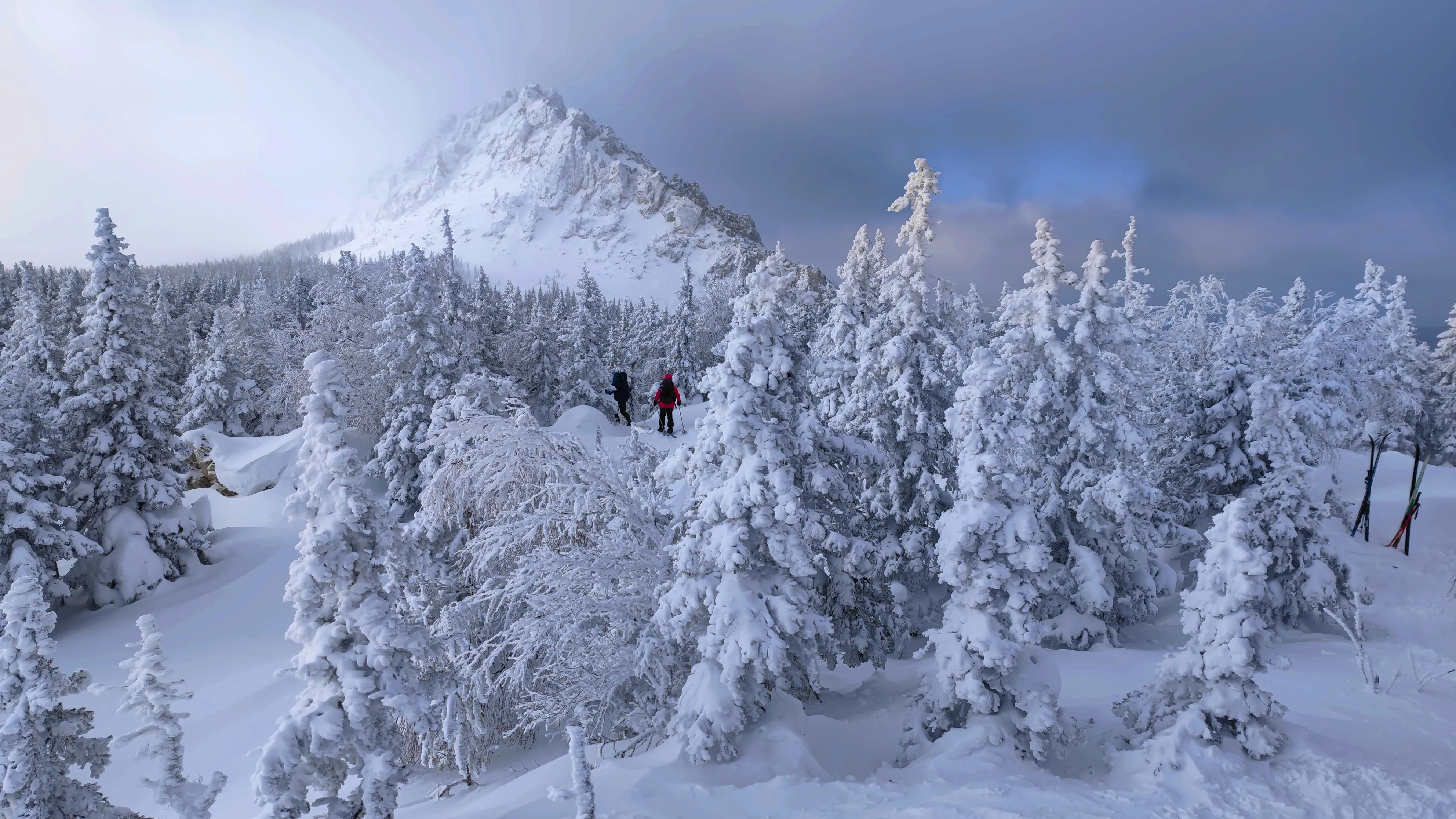 По морозу, да в метель