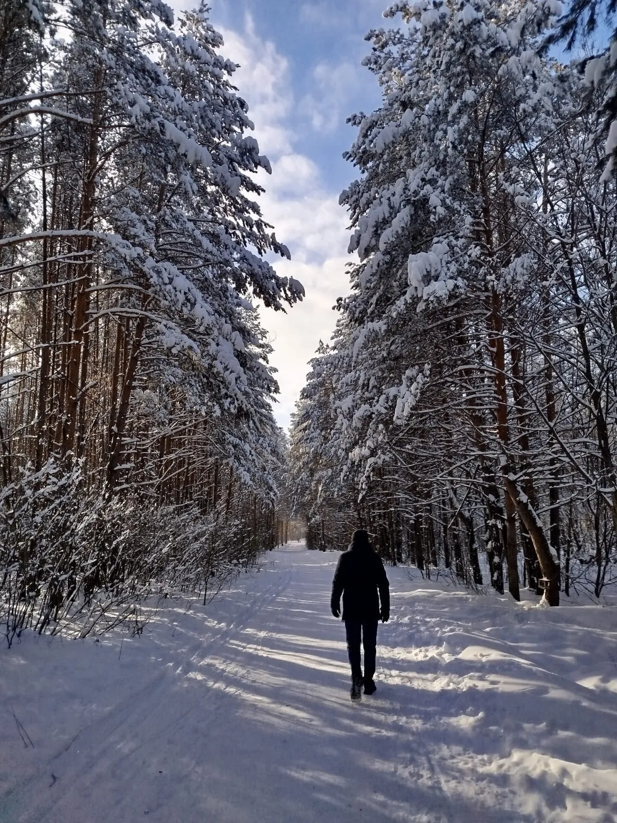 Навстречу зиме