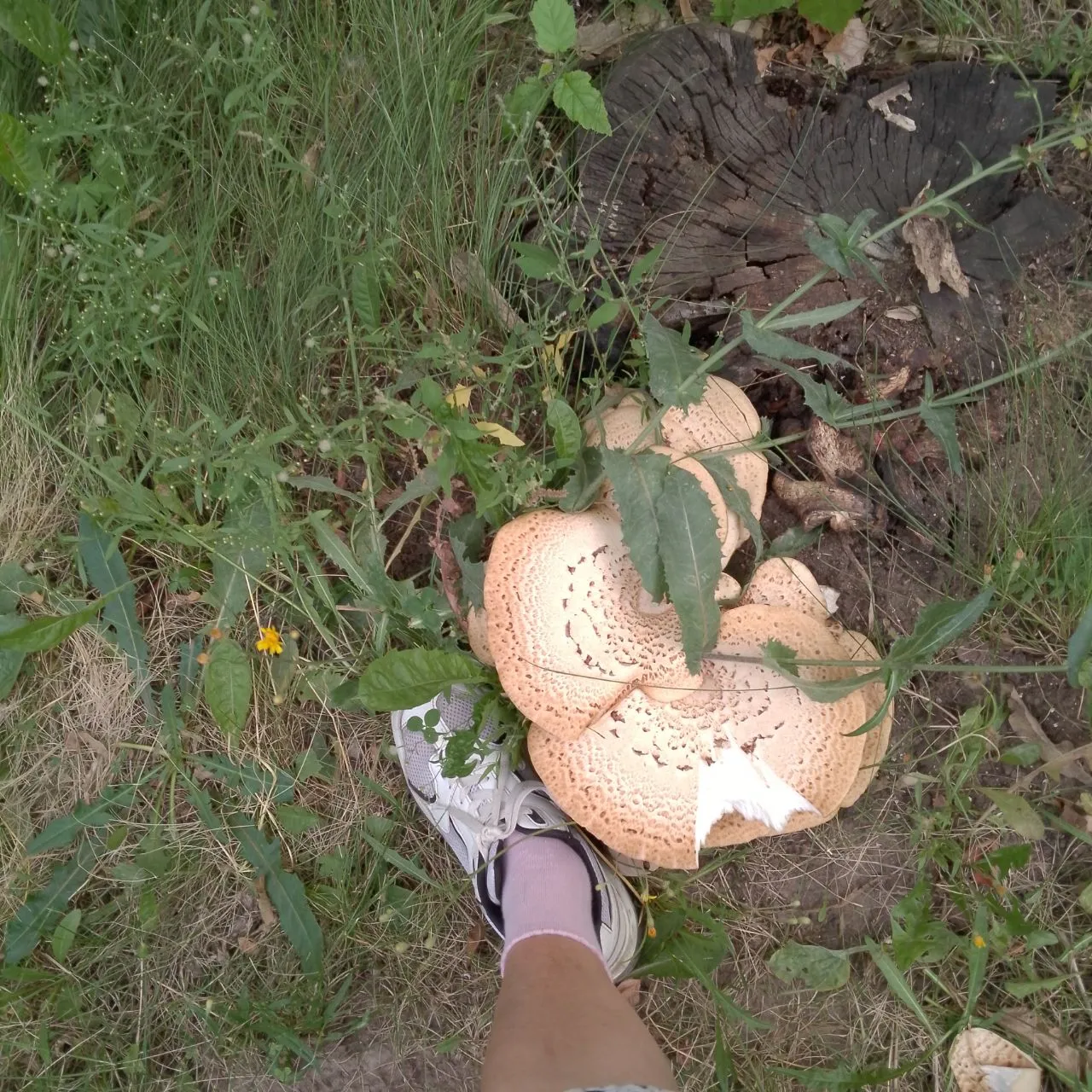 И кто же тут хозяин?