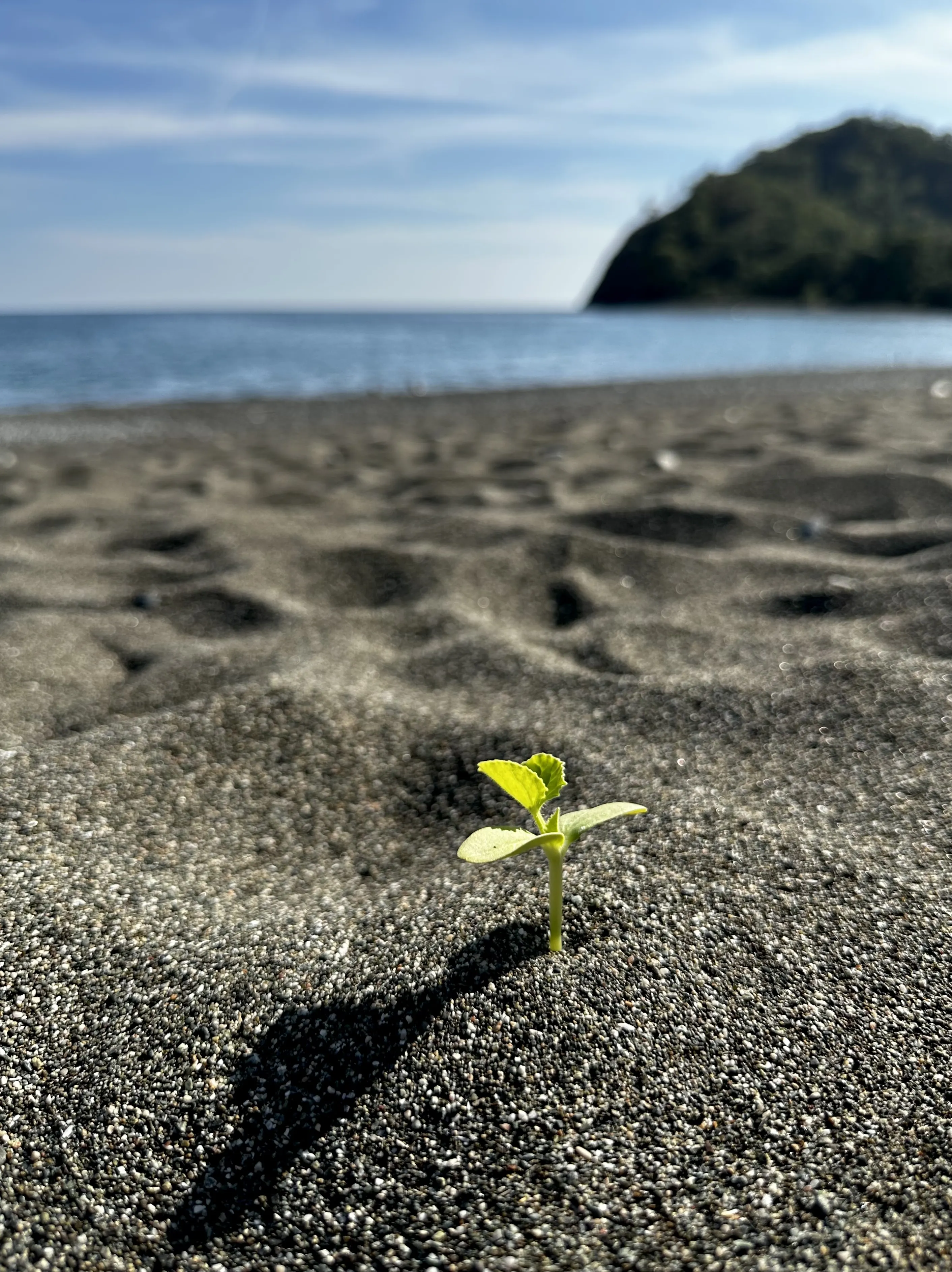 Выбор- жить!