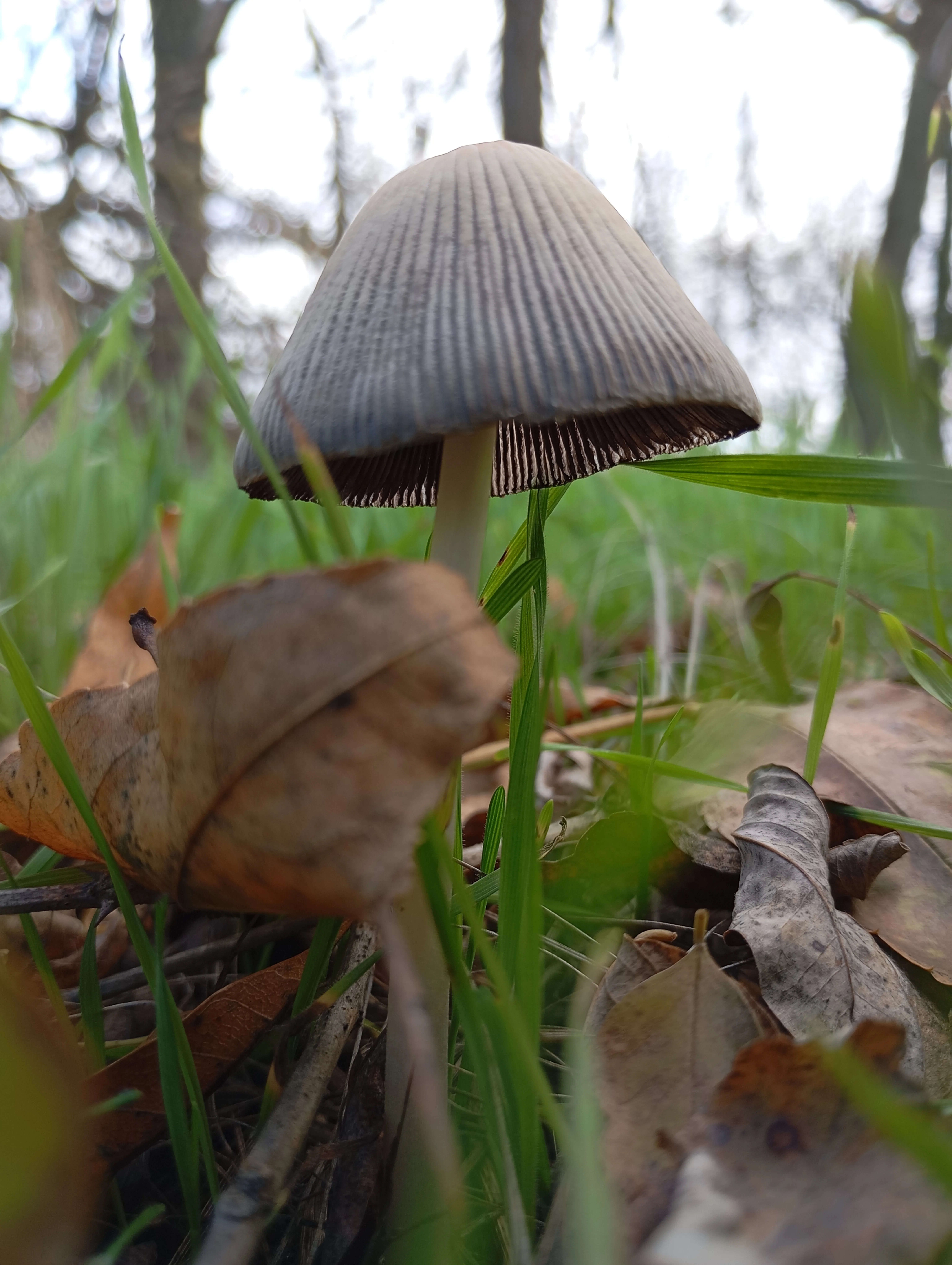 Остановись мгновение