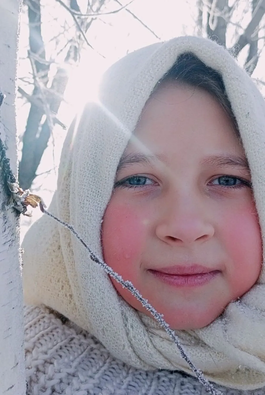 -38 градусов