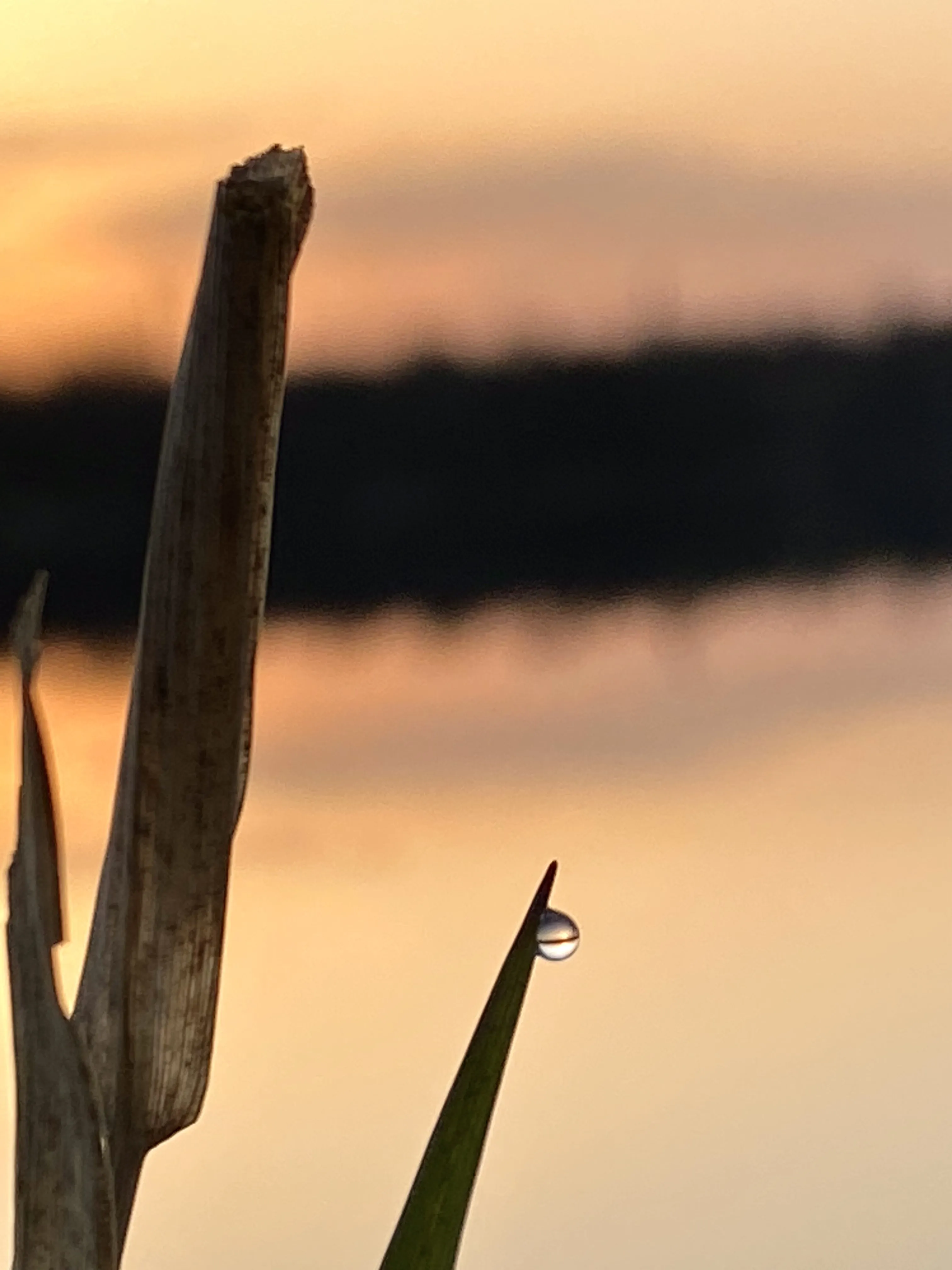 умиротворение