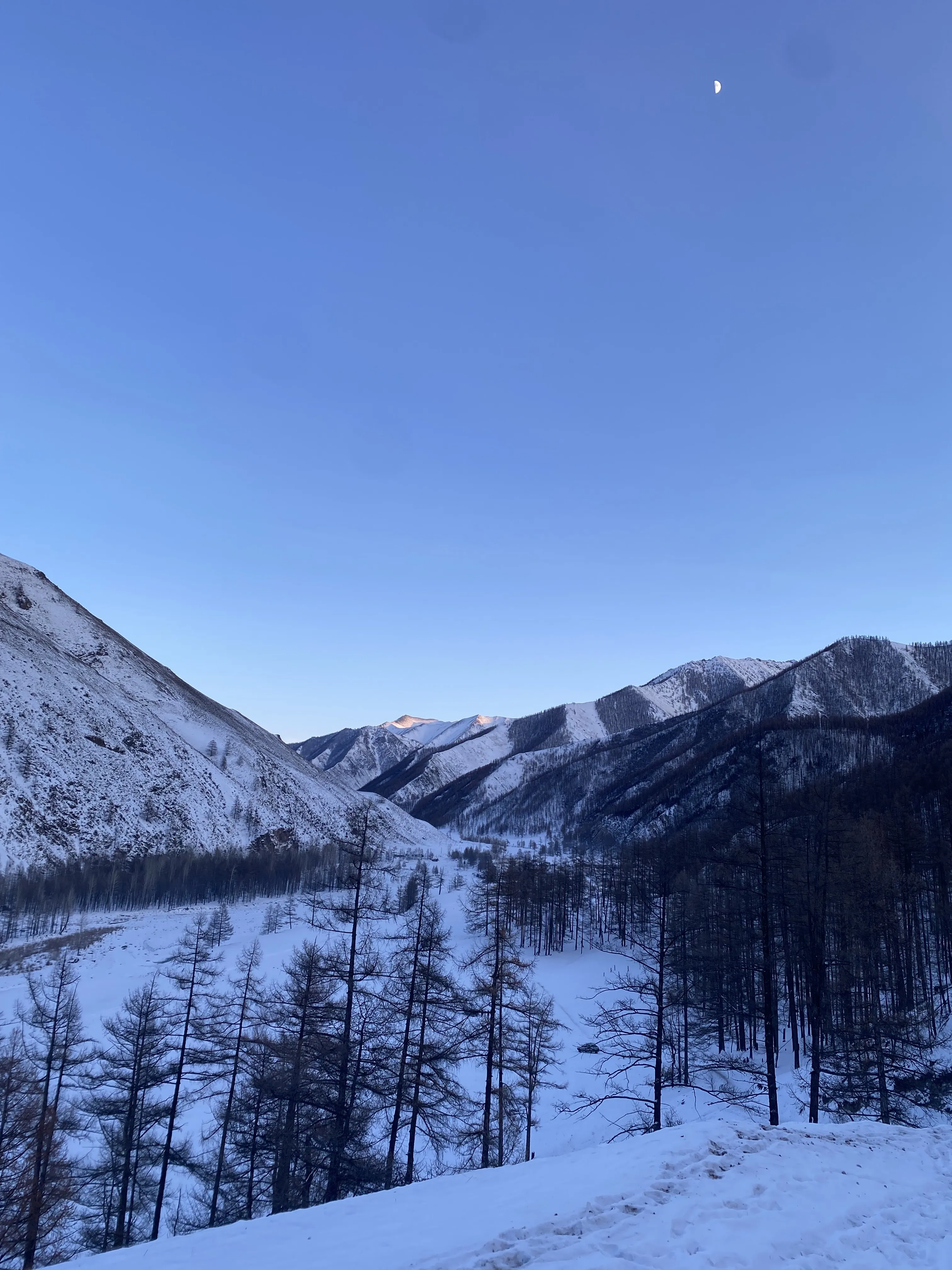 Родная земля