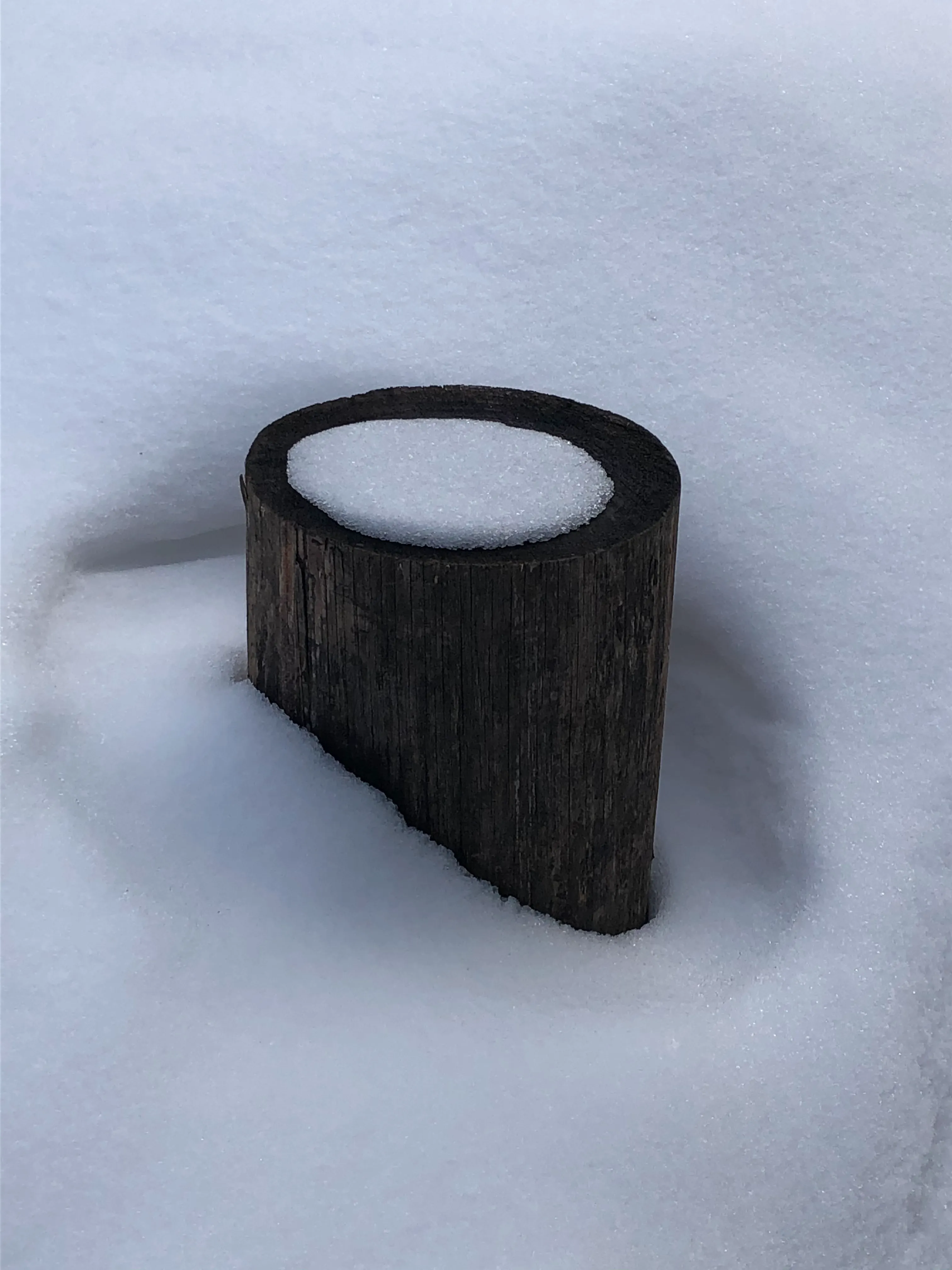 Пень в снегу