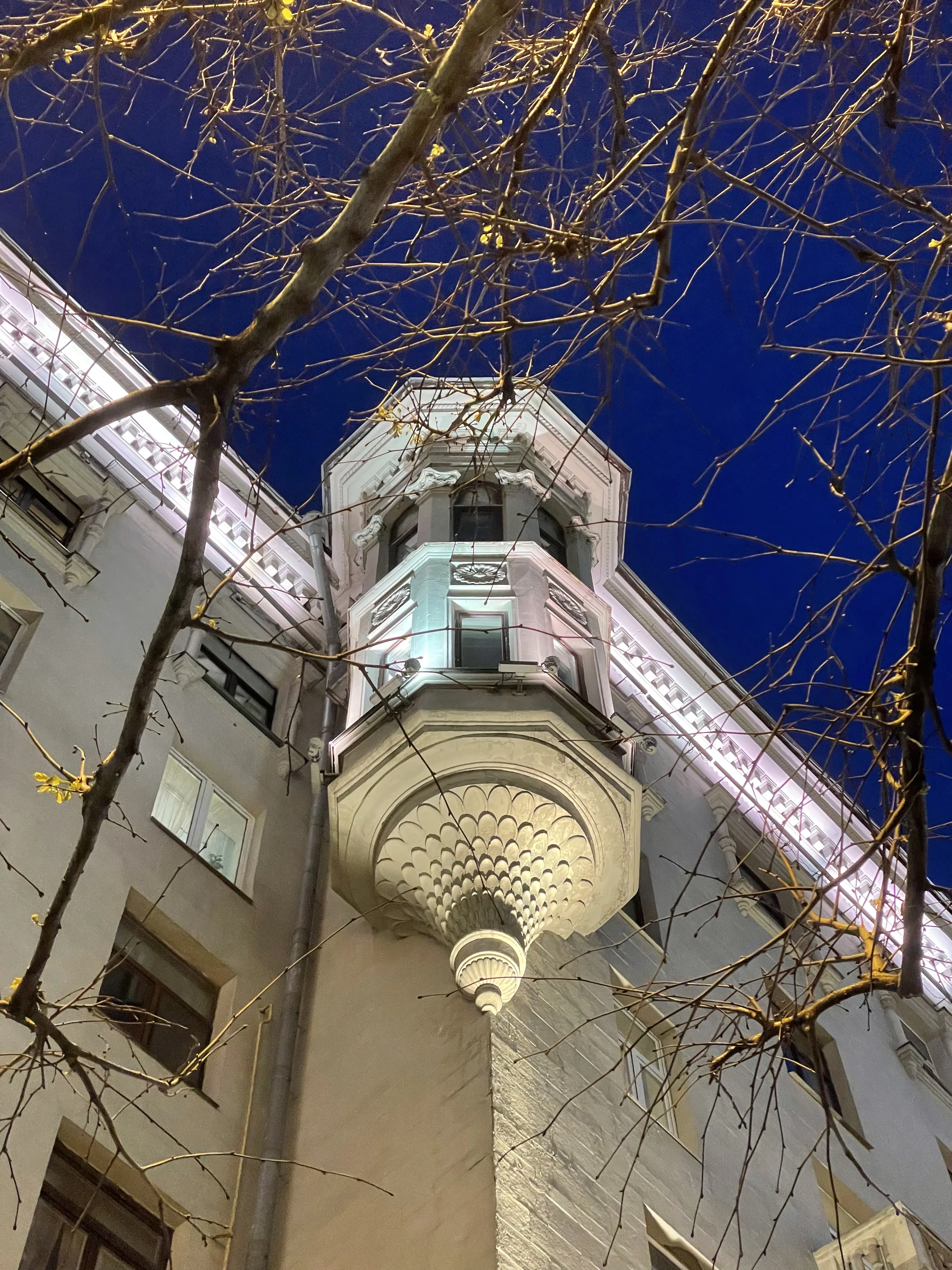 Черничное небо