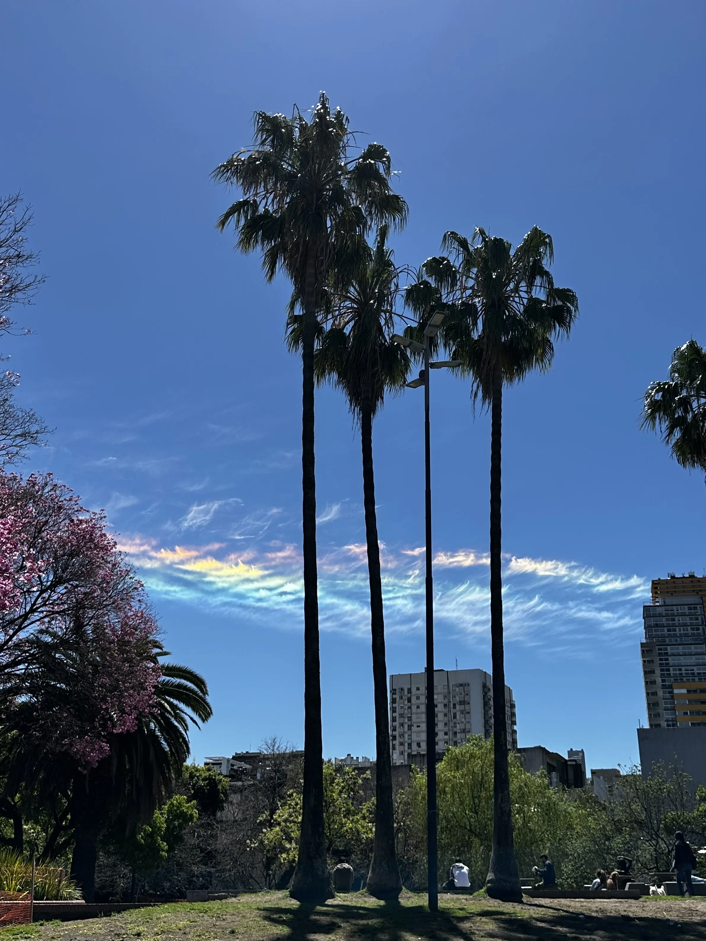 Чудеса вокруг