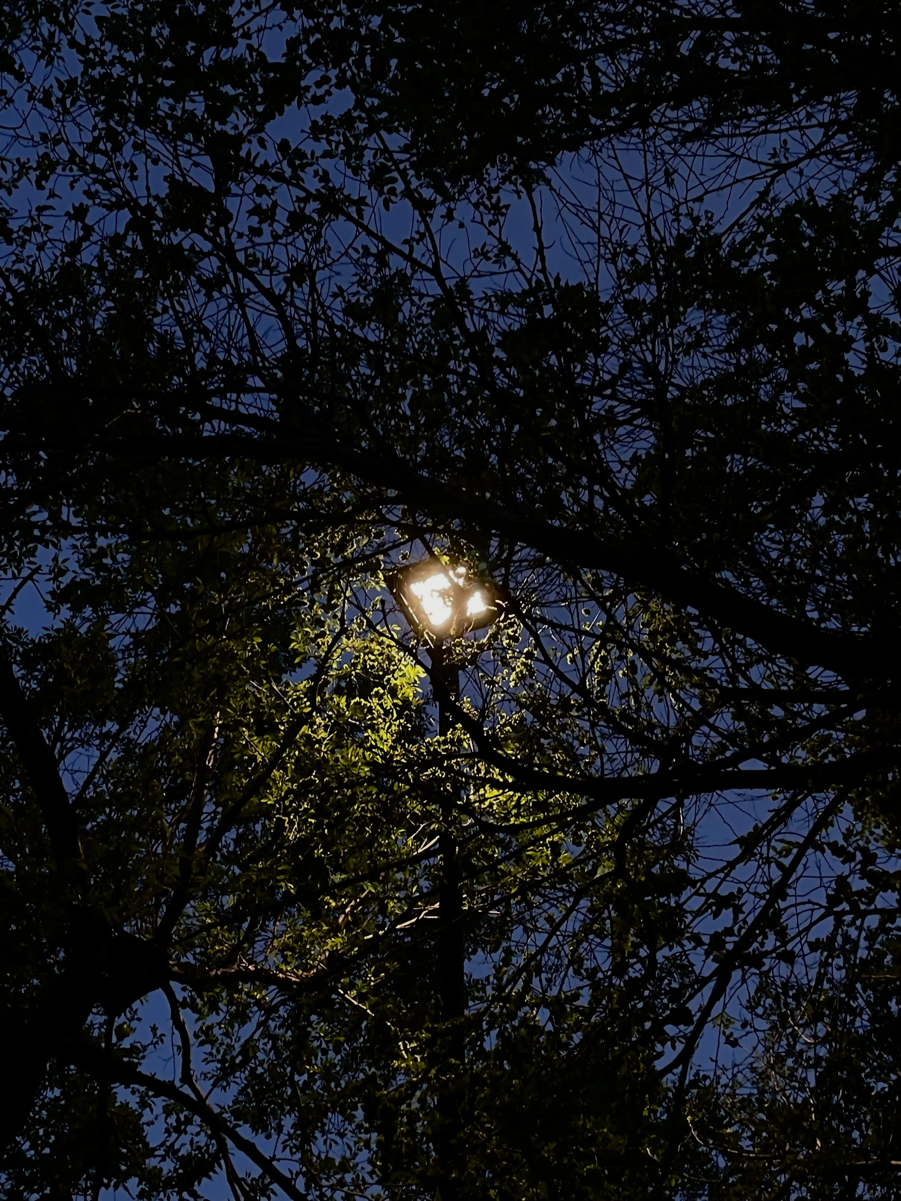 Лучик надежды