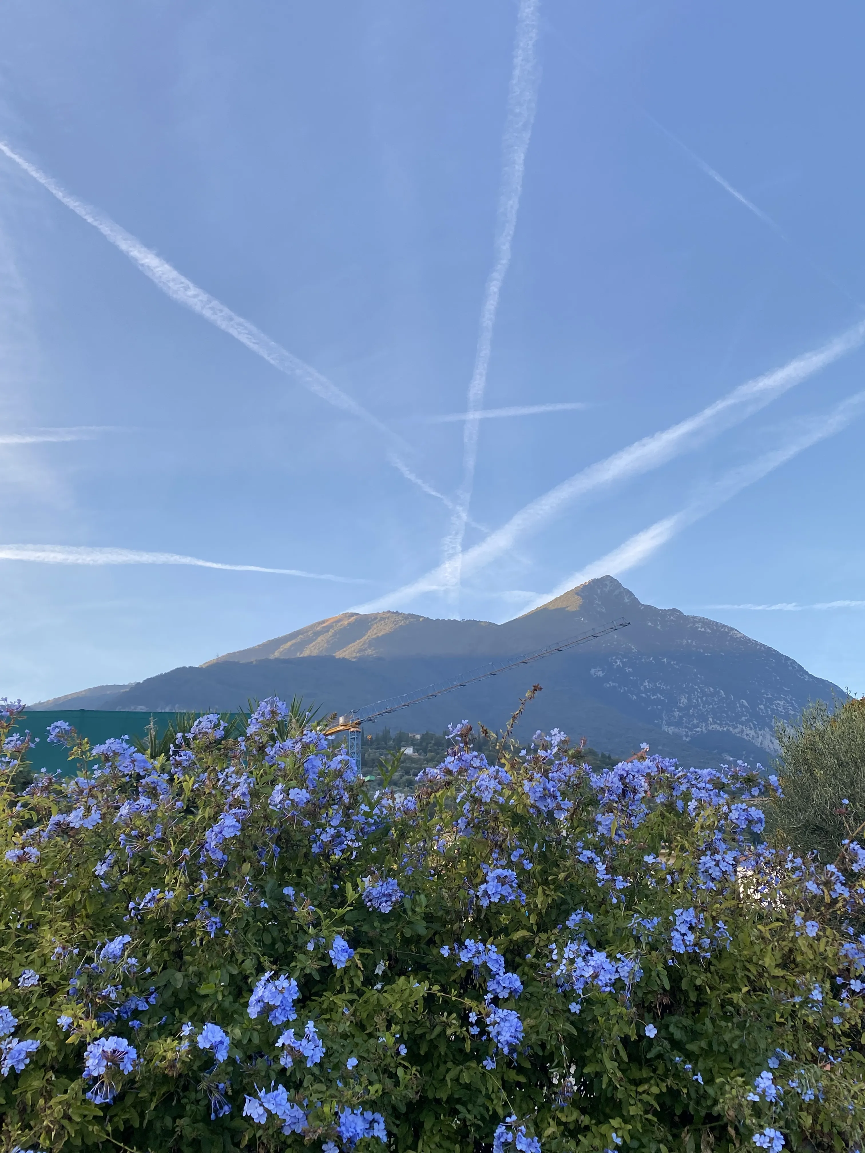 Жизнь вокруг