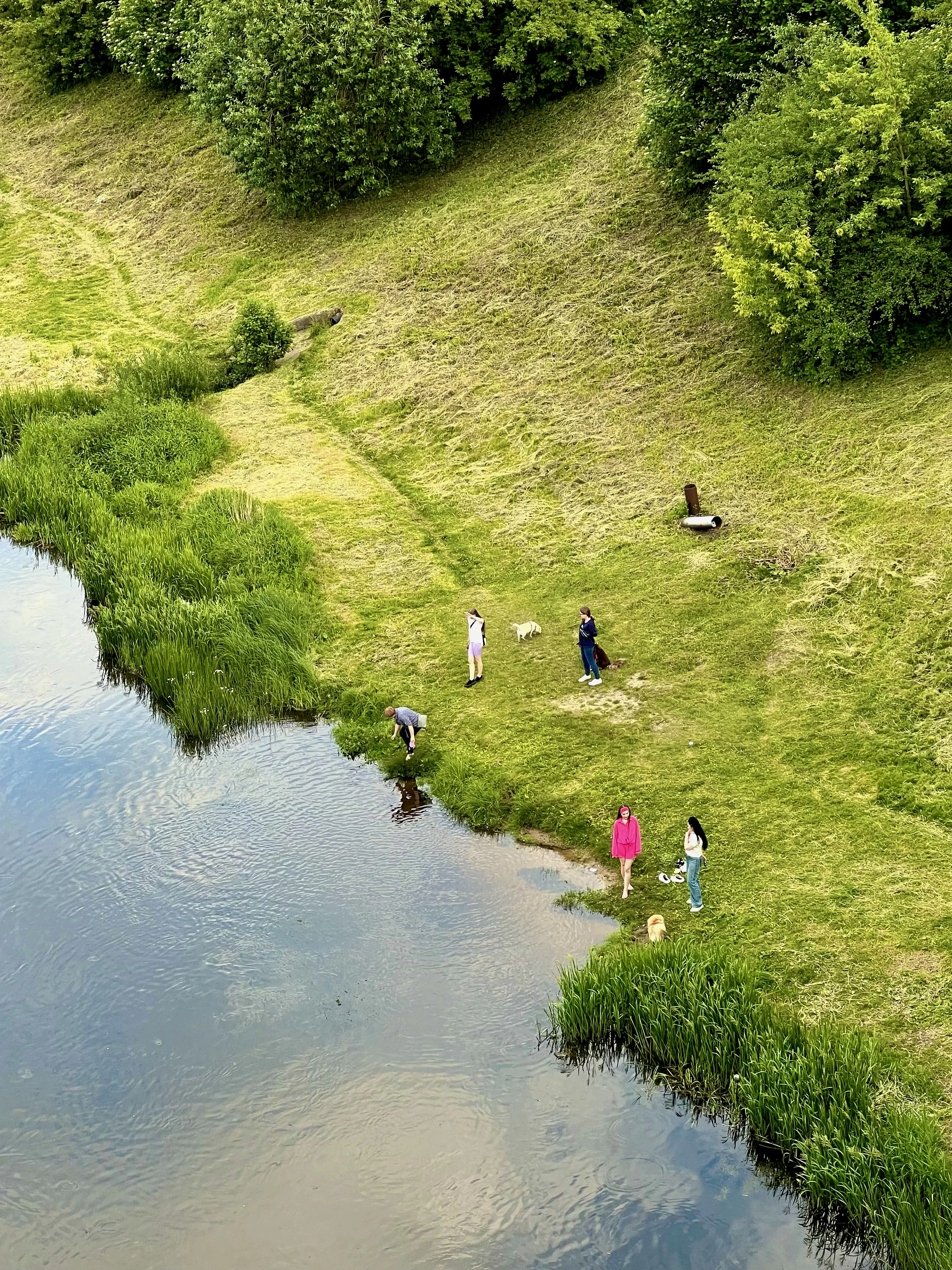 Прогулка на планете Земля