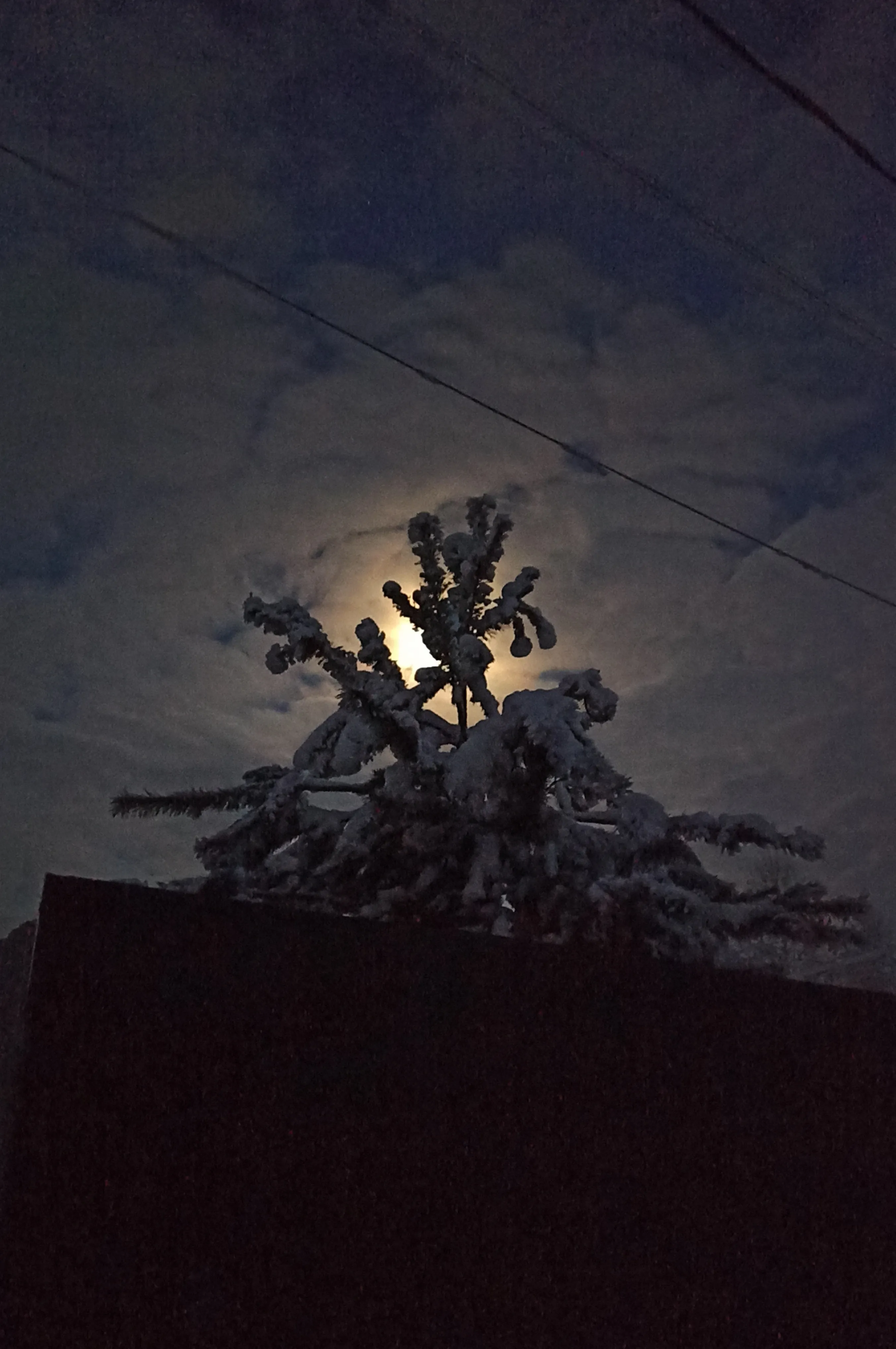 В лунном свете