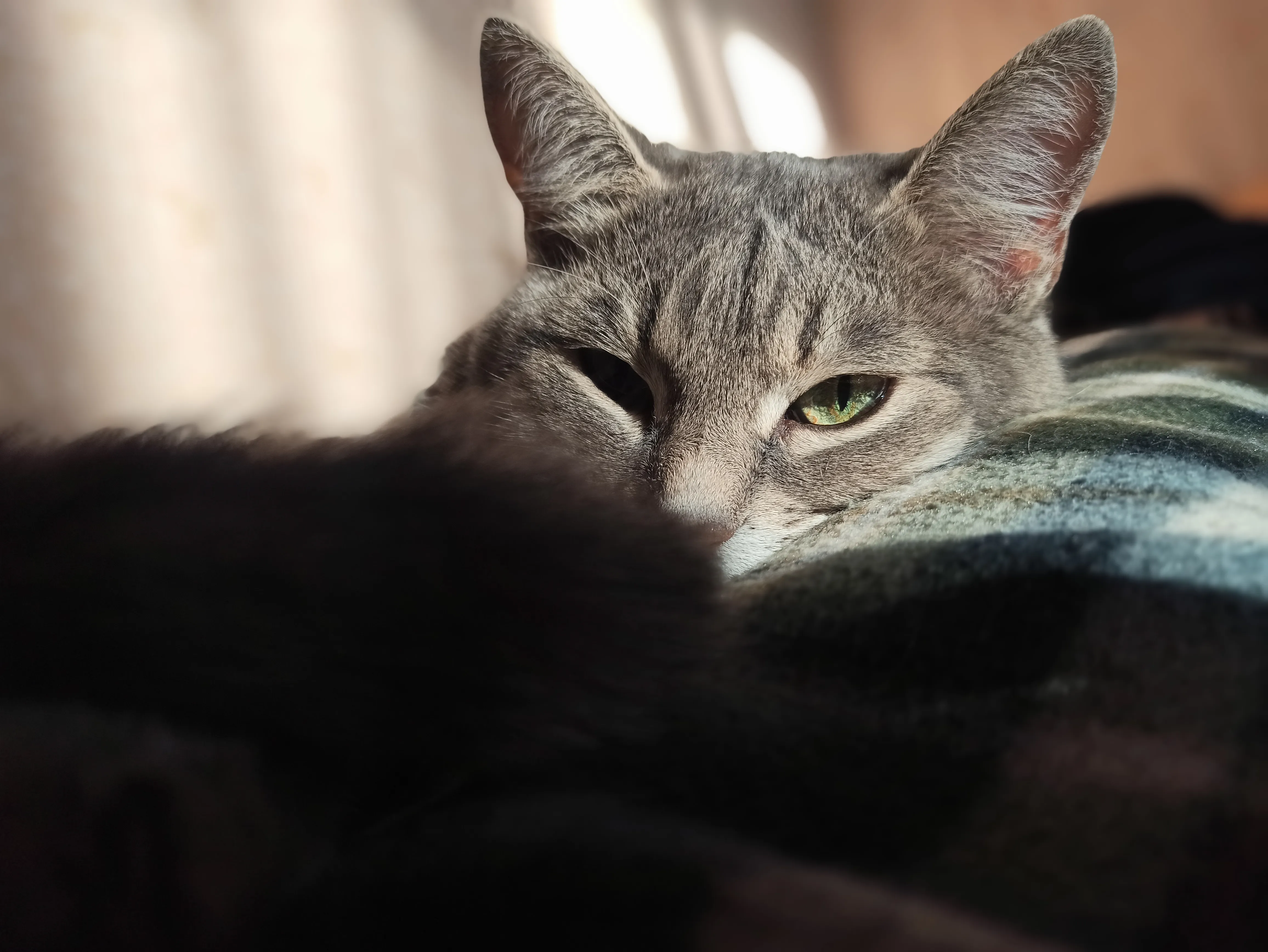 Летнее воспоминание