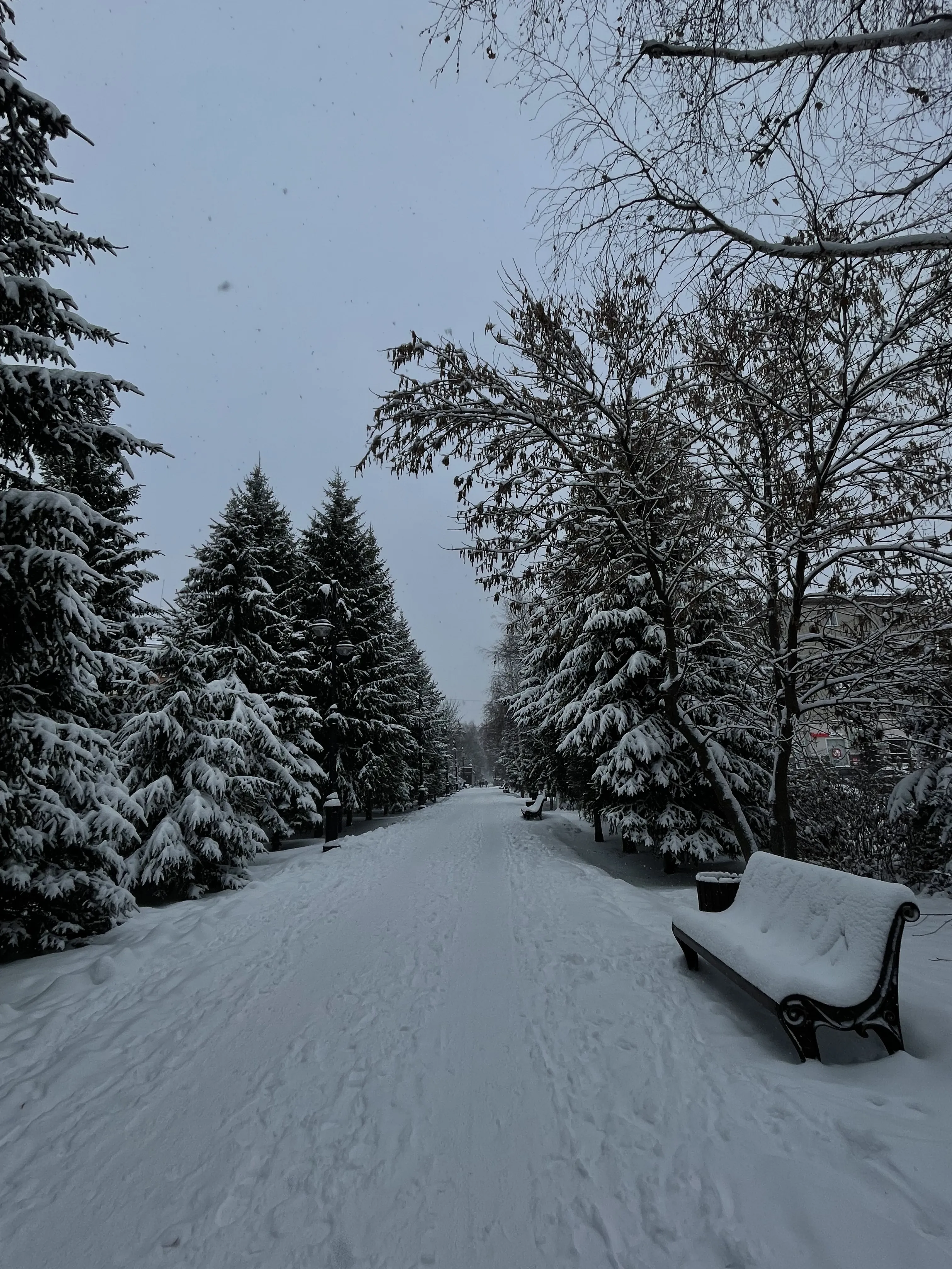 Утро в отпуске